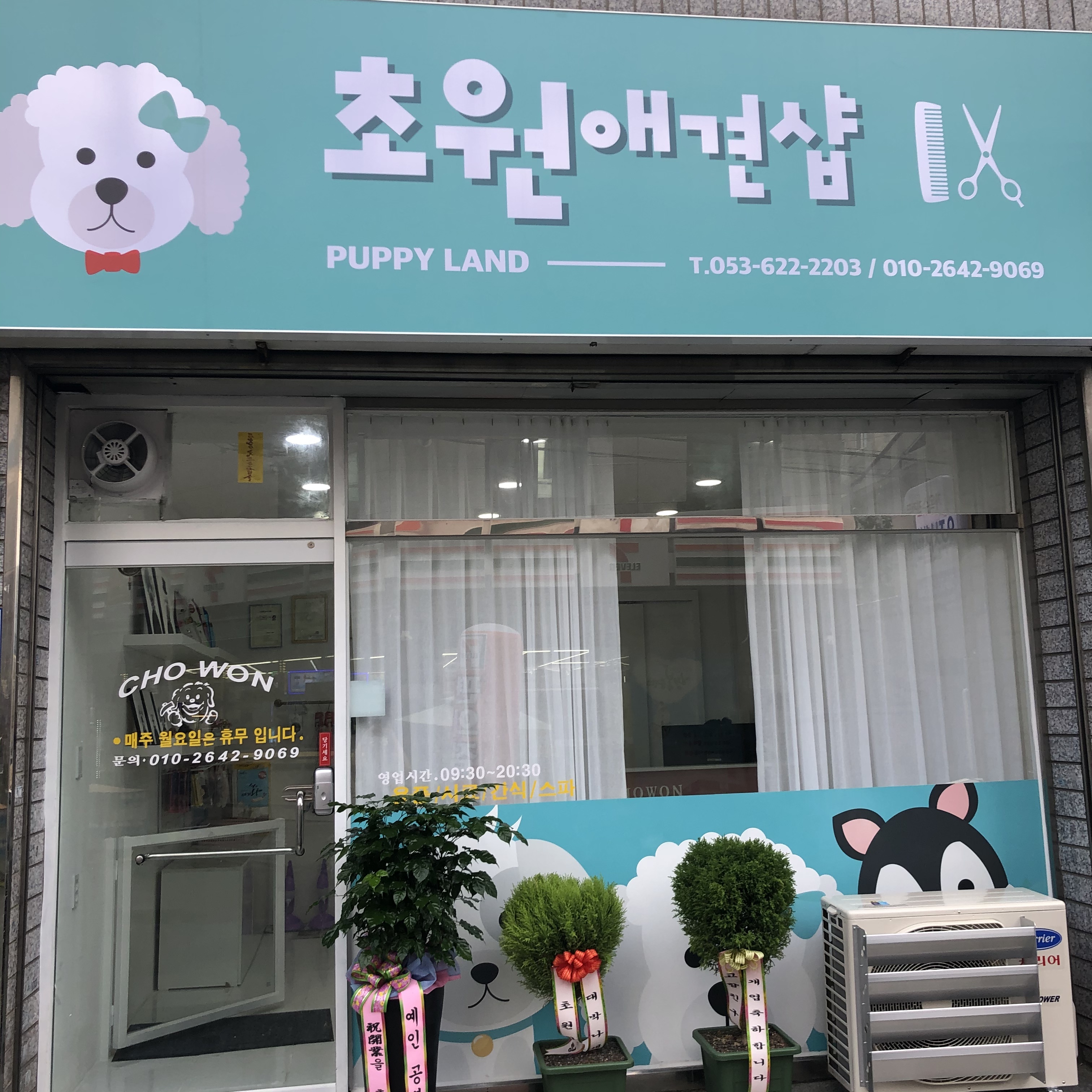 초원애견샵