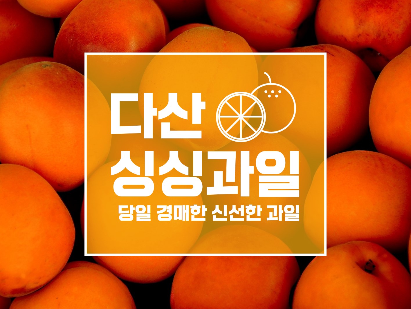 다산싱싱과일
