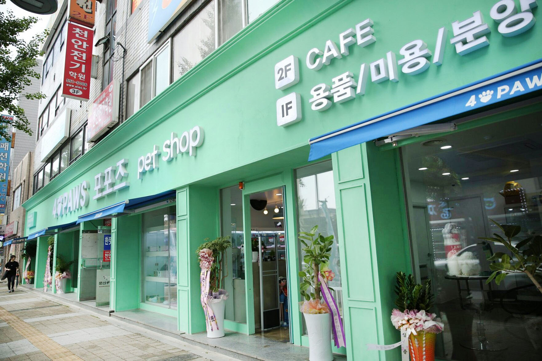 포포즈