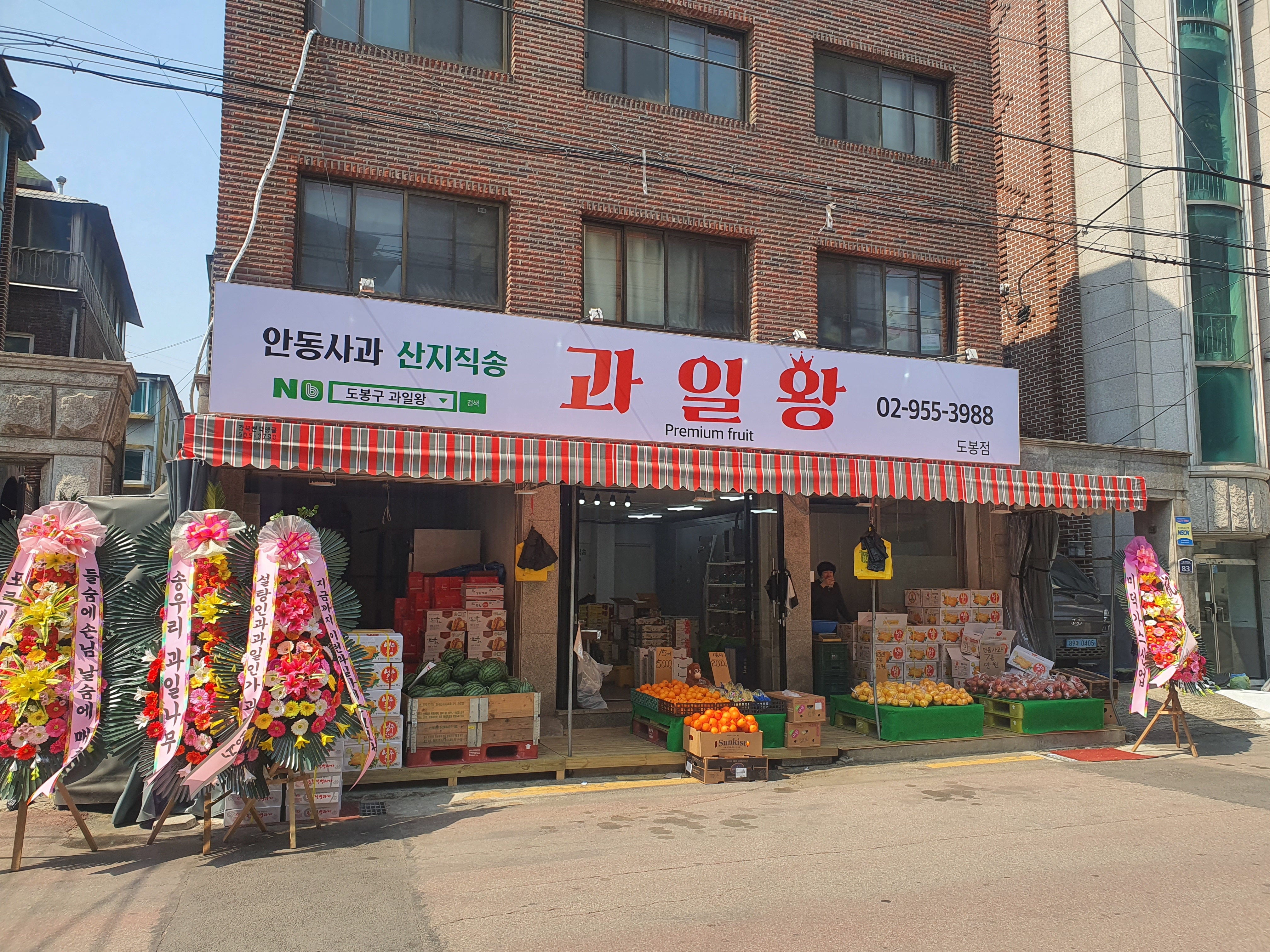 과일왕