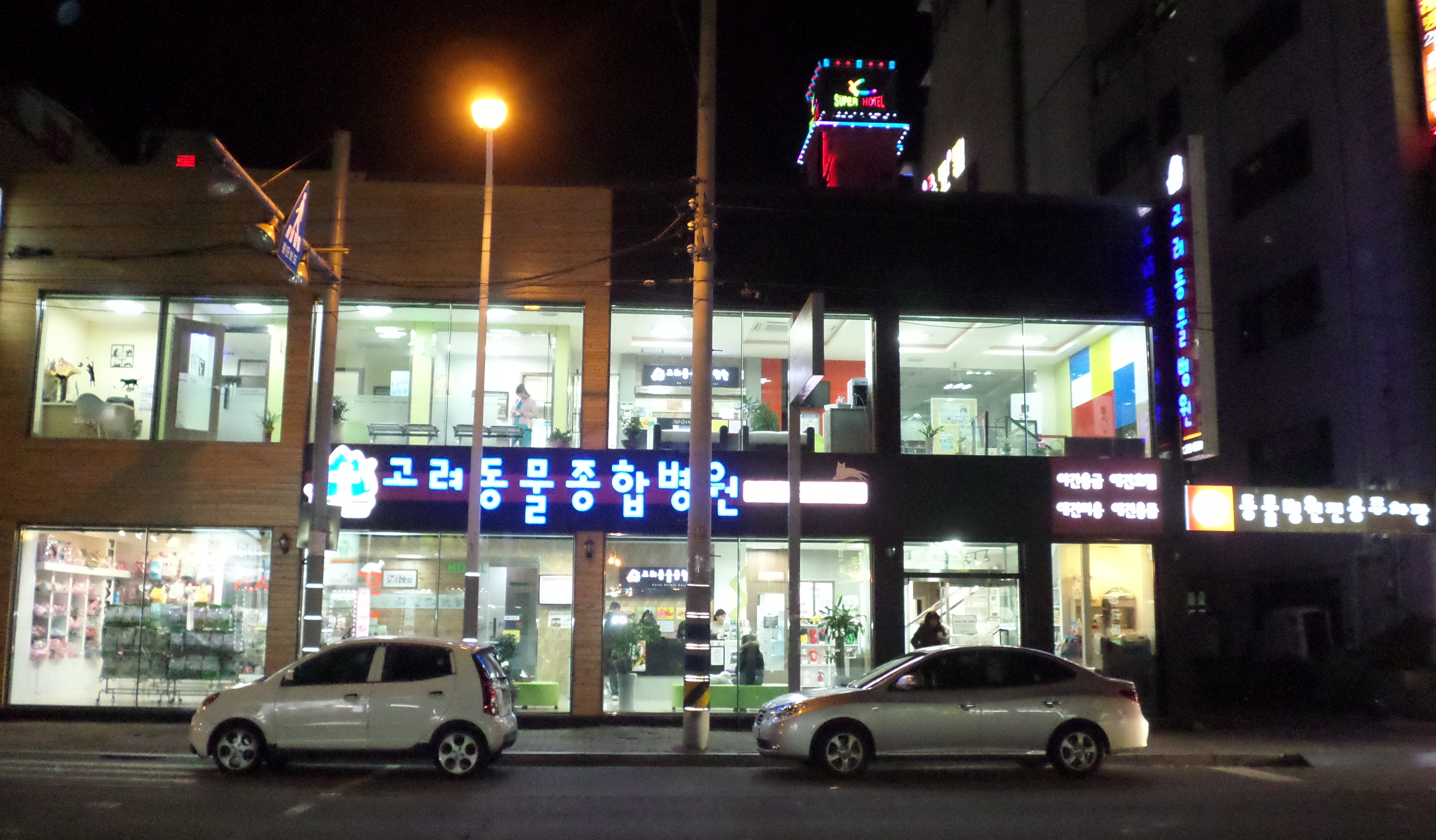 고려종합동물병원