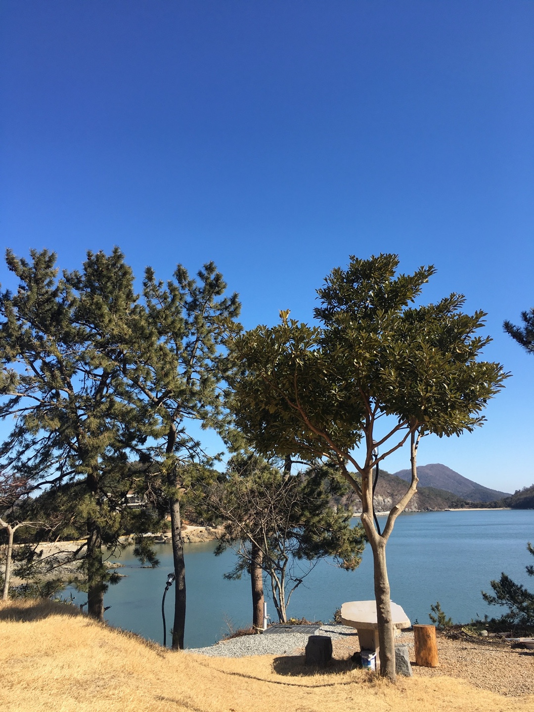 비치힐