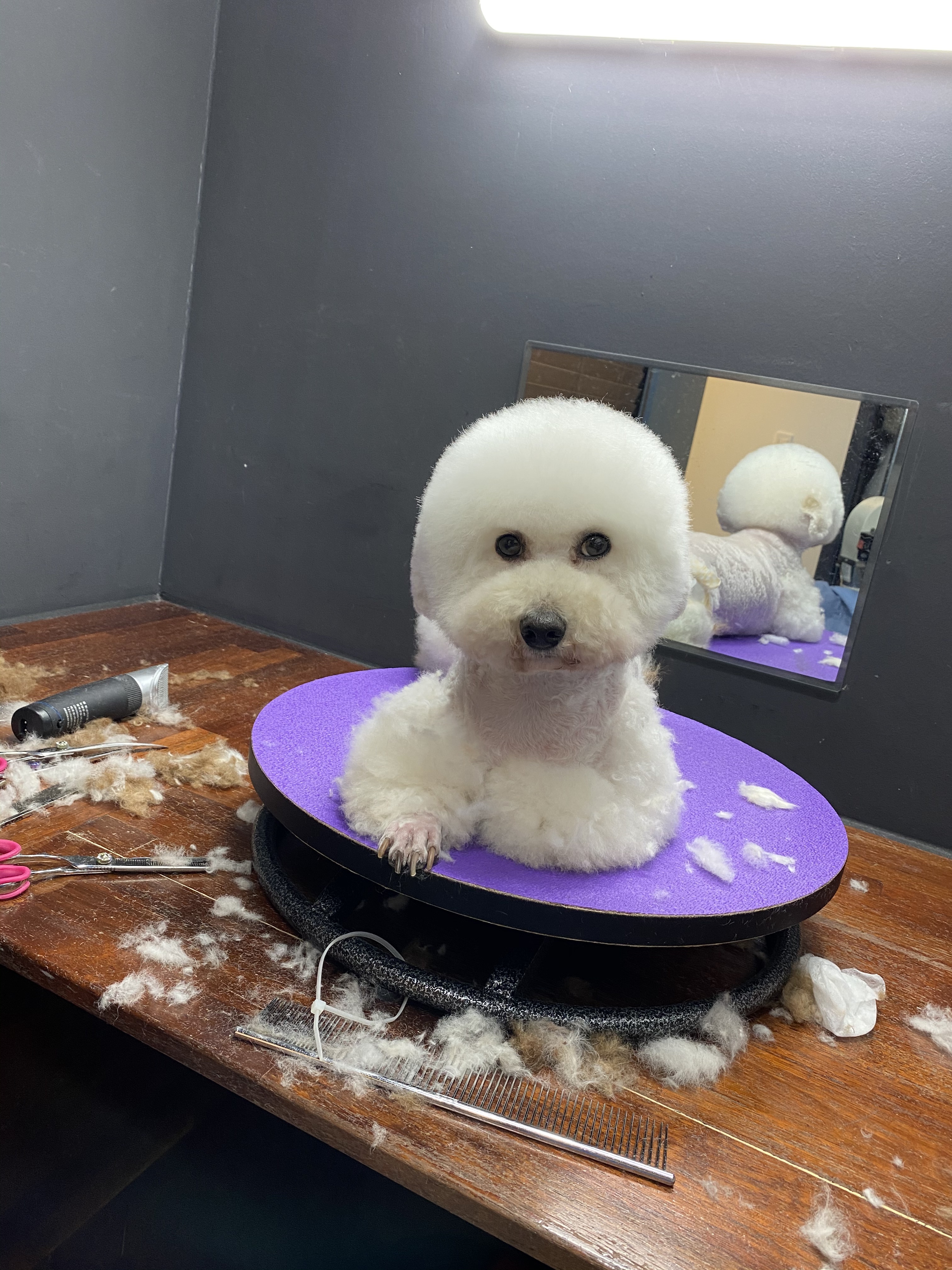 바둑이미장원 대표 이미지
