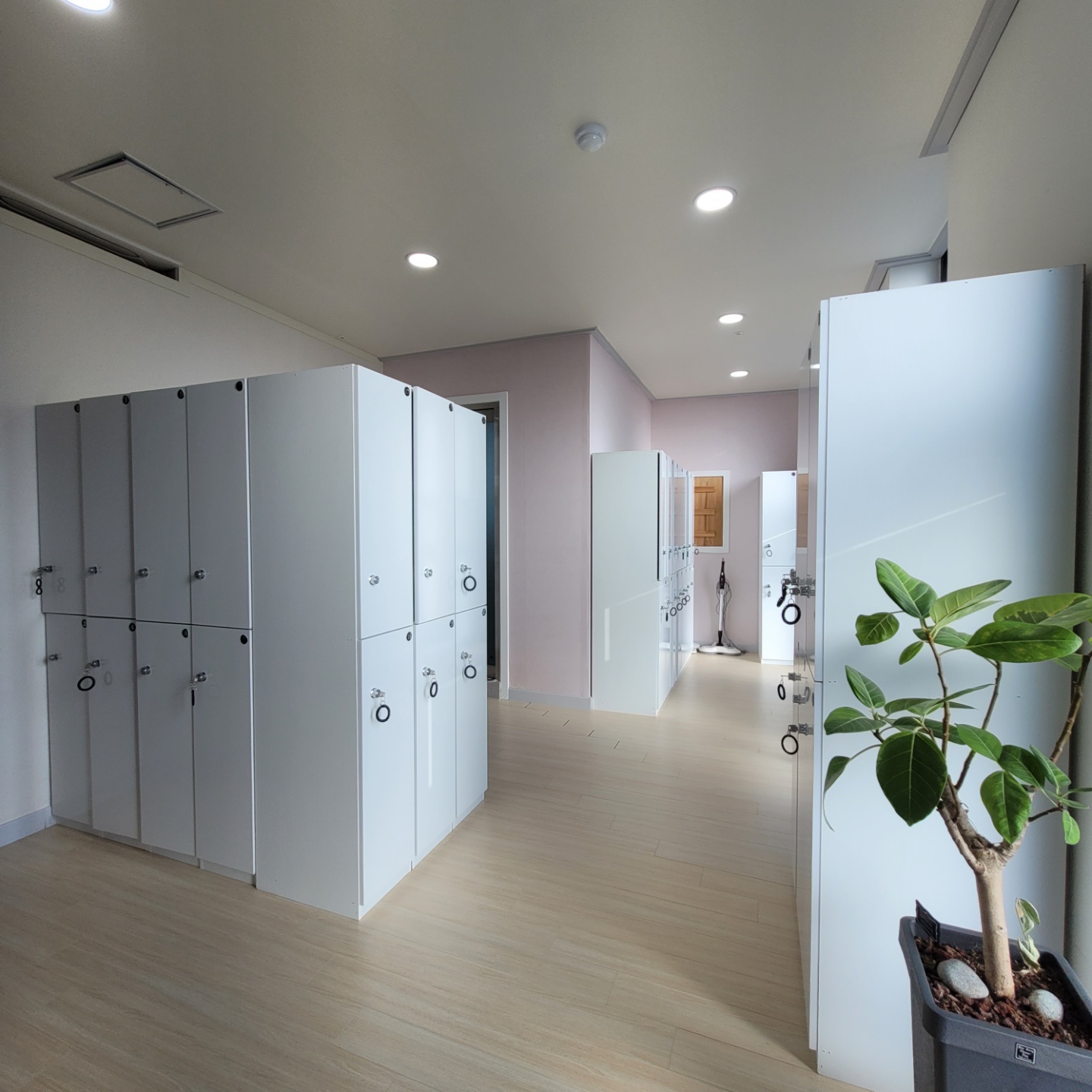 감각요가필라테스 대표 이미지