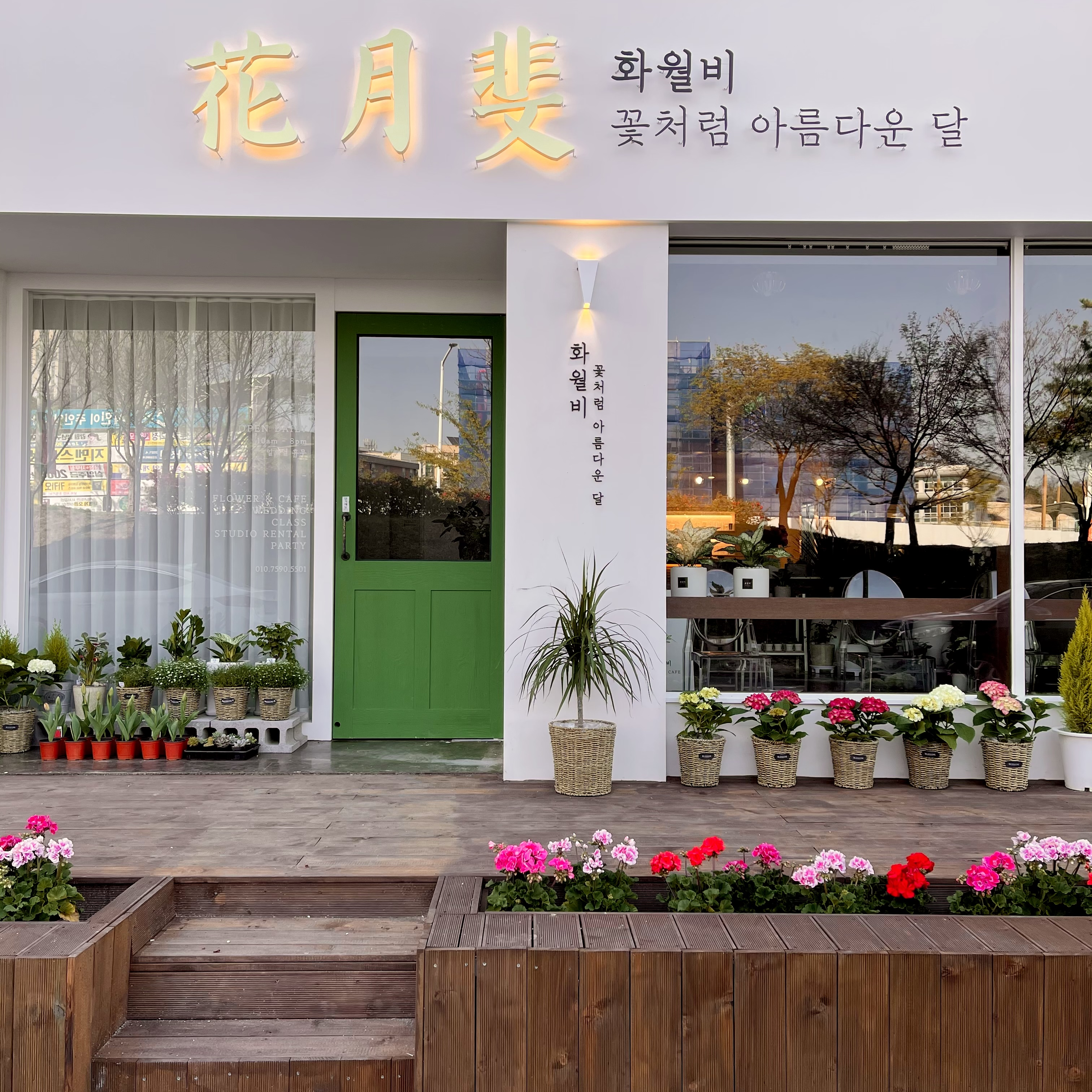 화월비