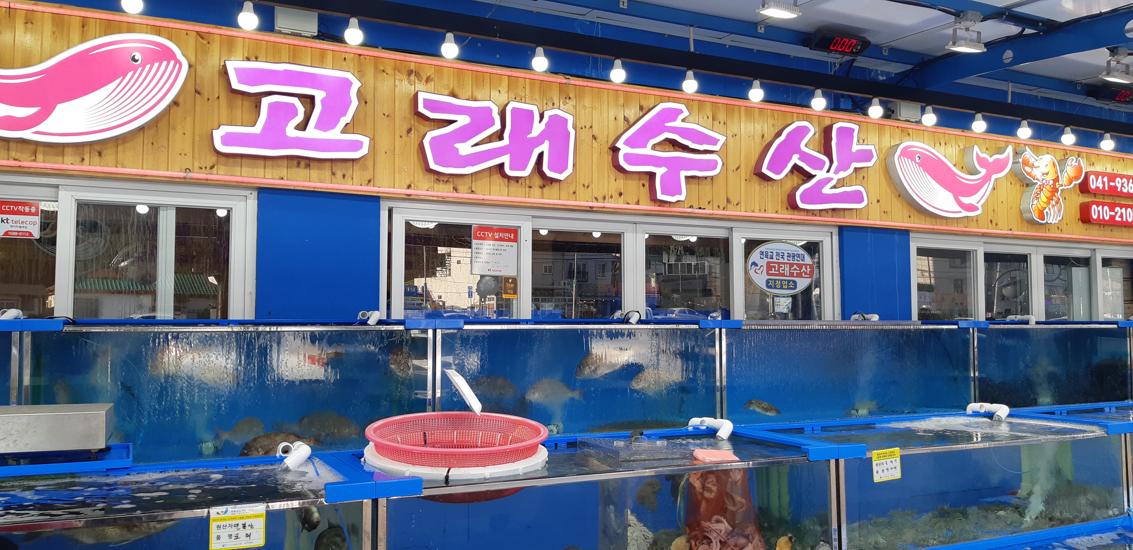 고래수산