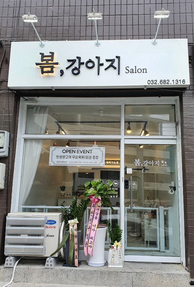 봄강아지salon