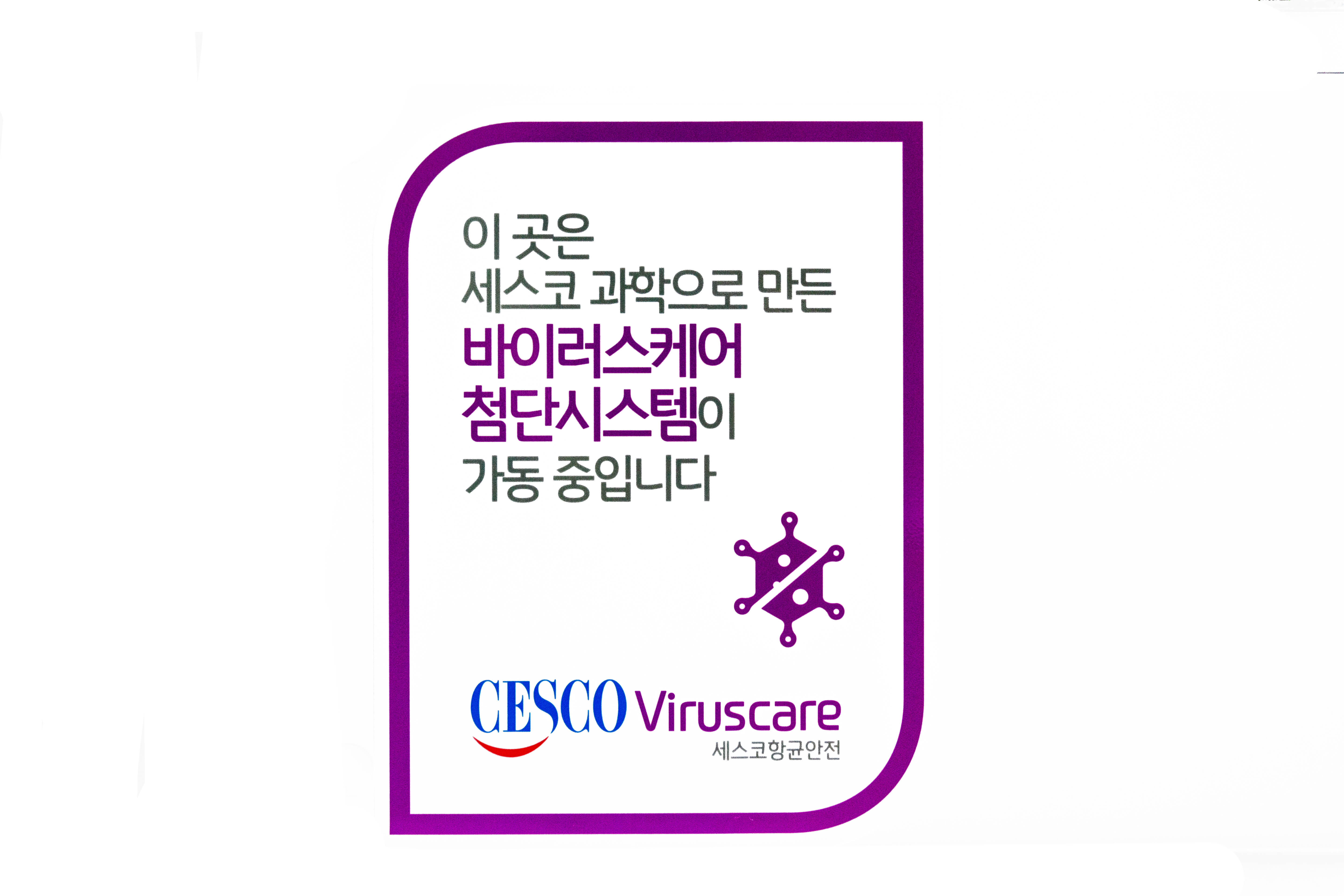 굿차이 photo 5