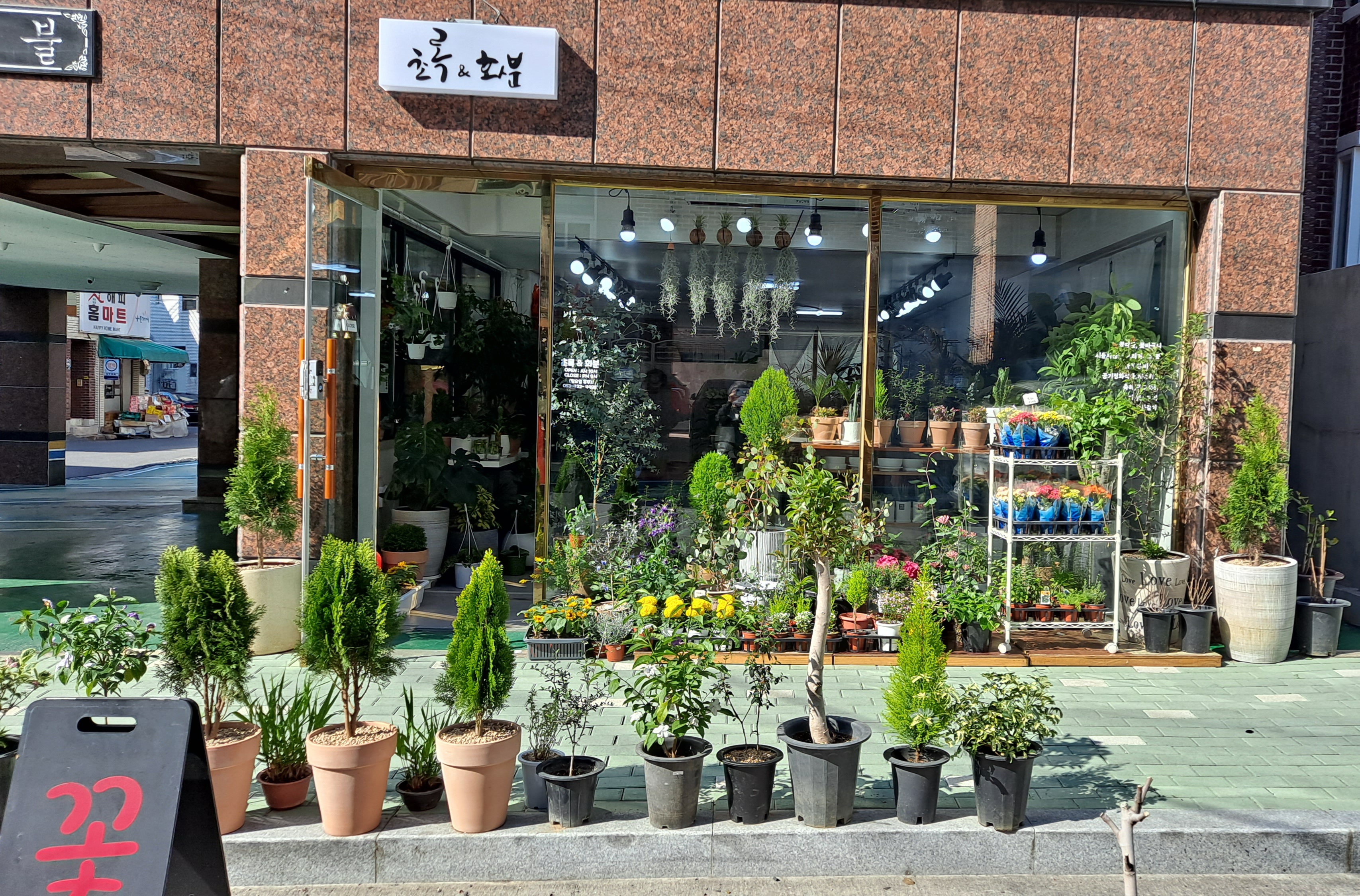 초록&화분