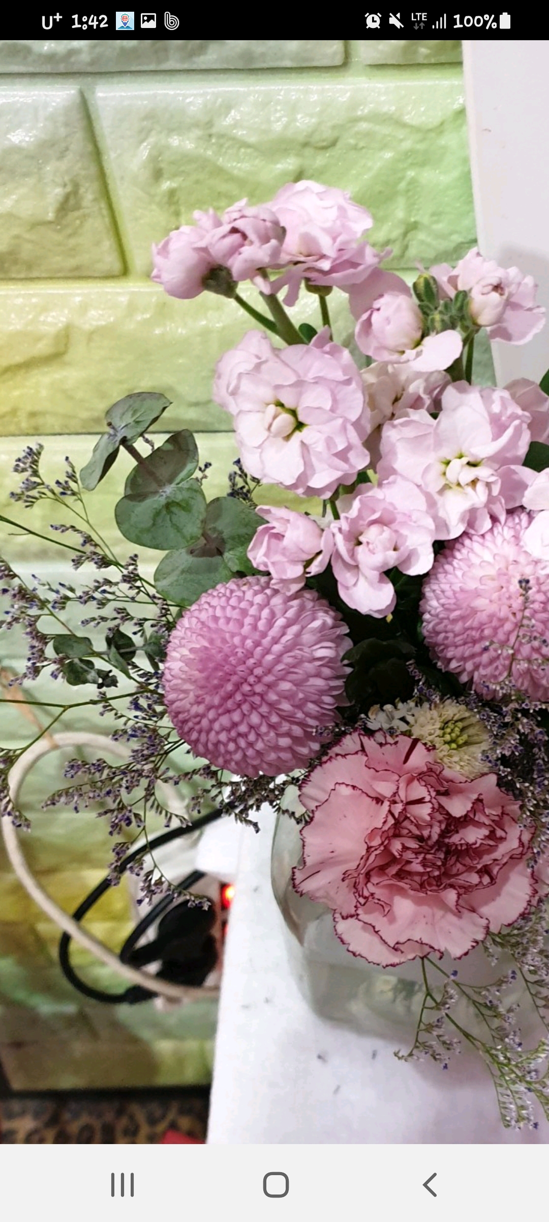 스킨트레이너피부관리 대표 이미지