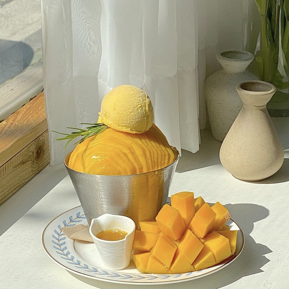 비마이게스트
