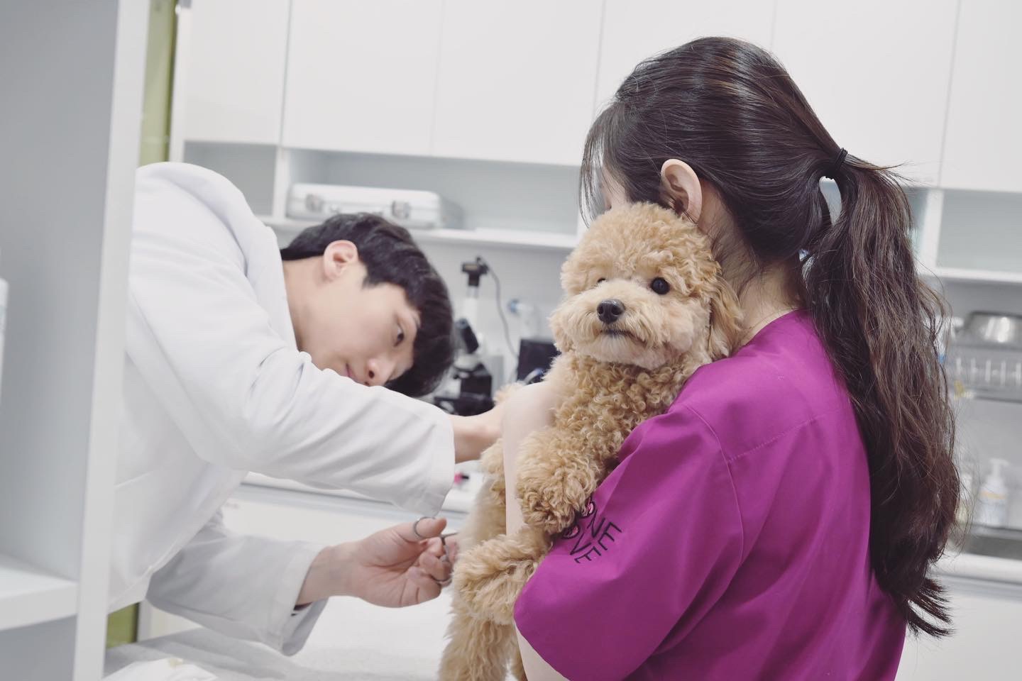 원러브동물의료센터 대표 이미지
