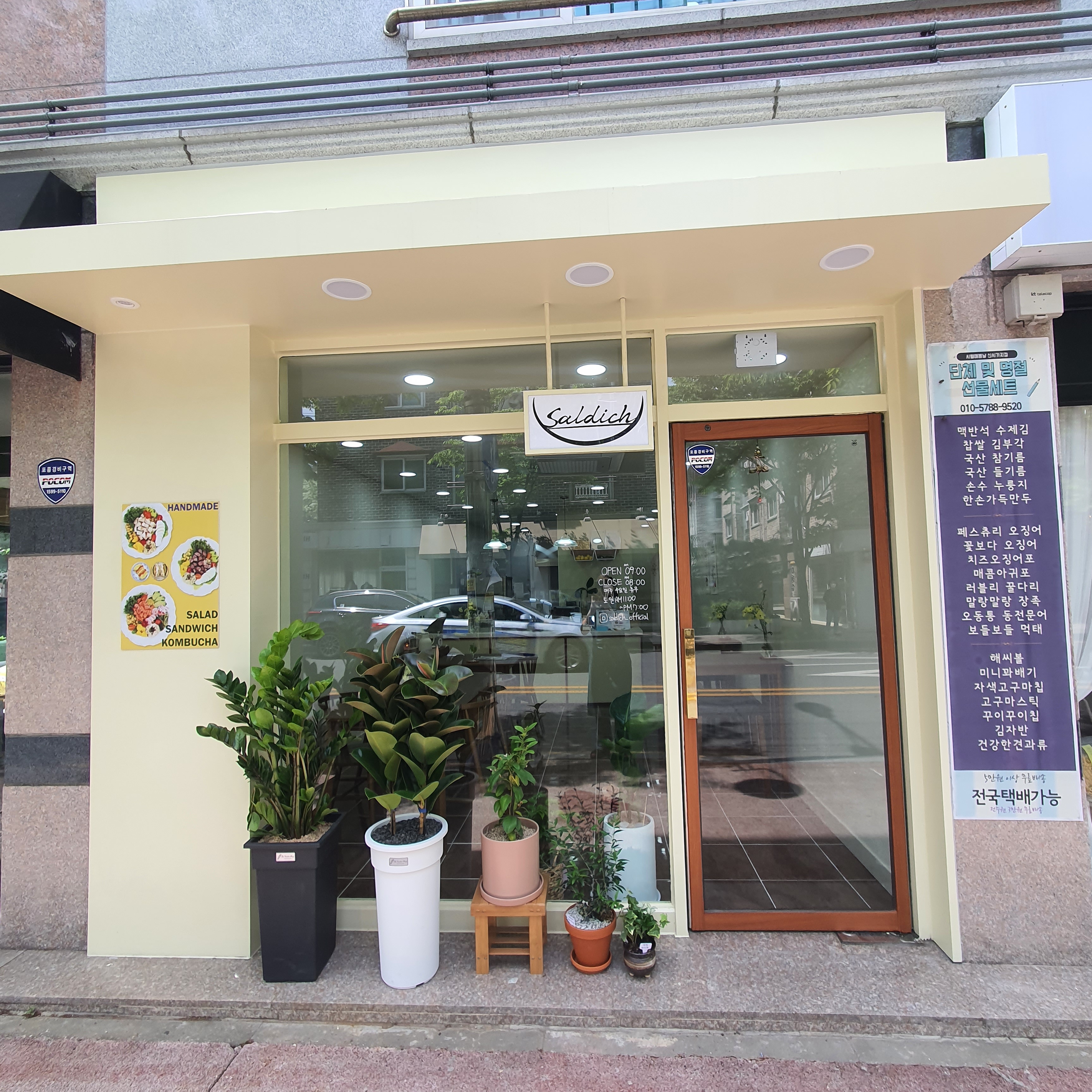 샐디치