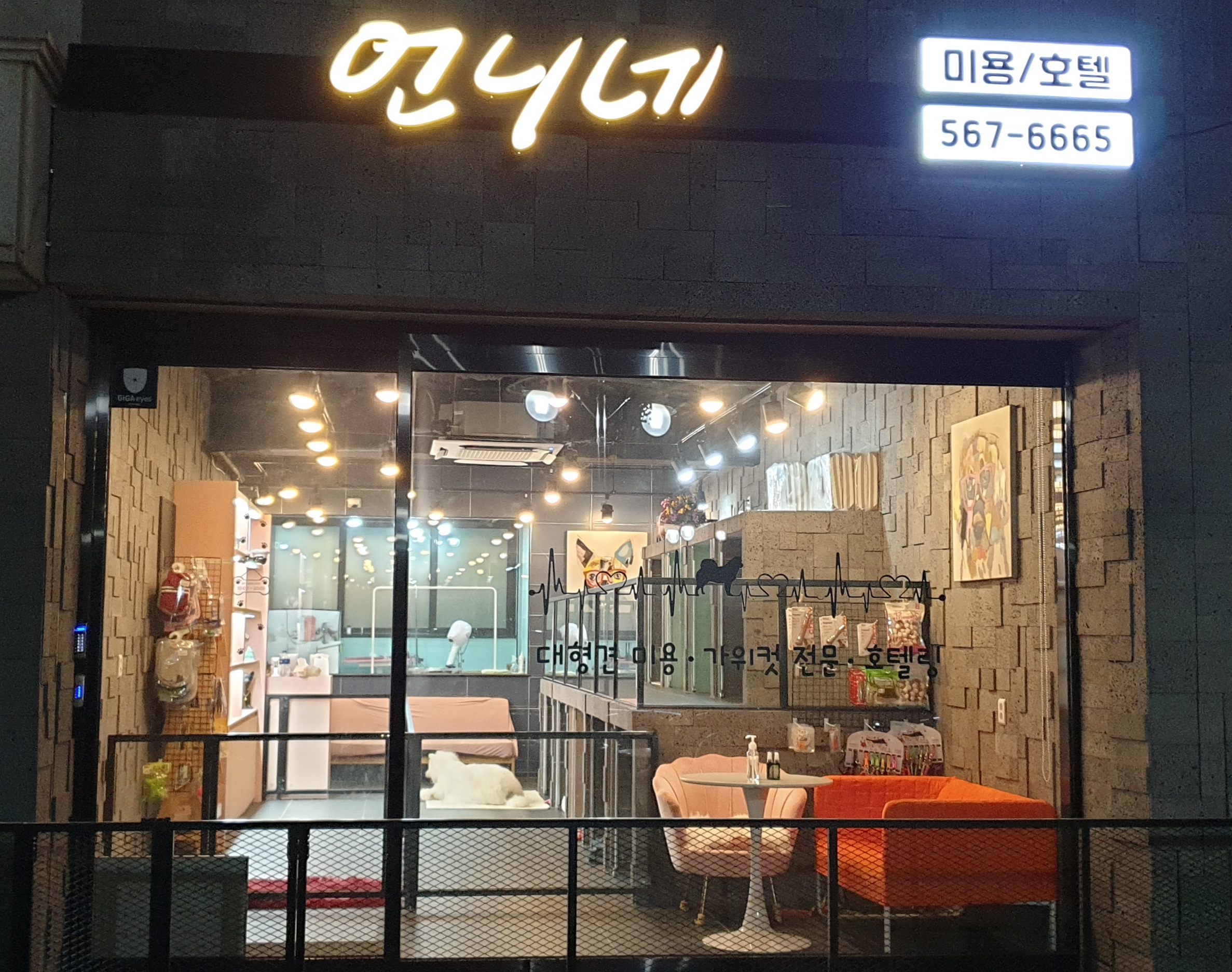 언니네