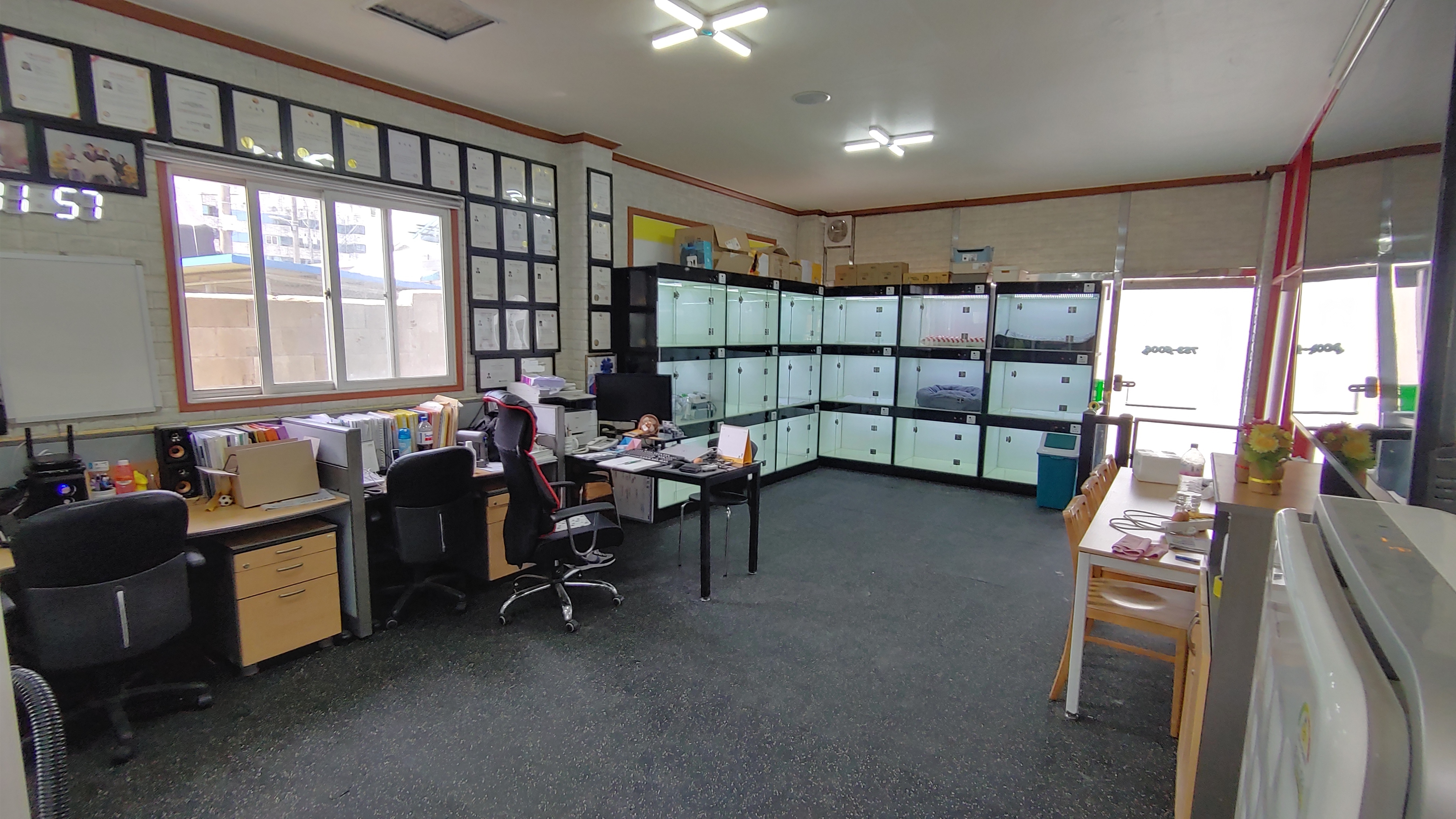 예스독 아카데미 대표 이미지