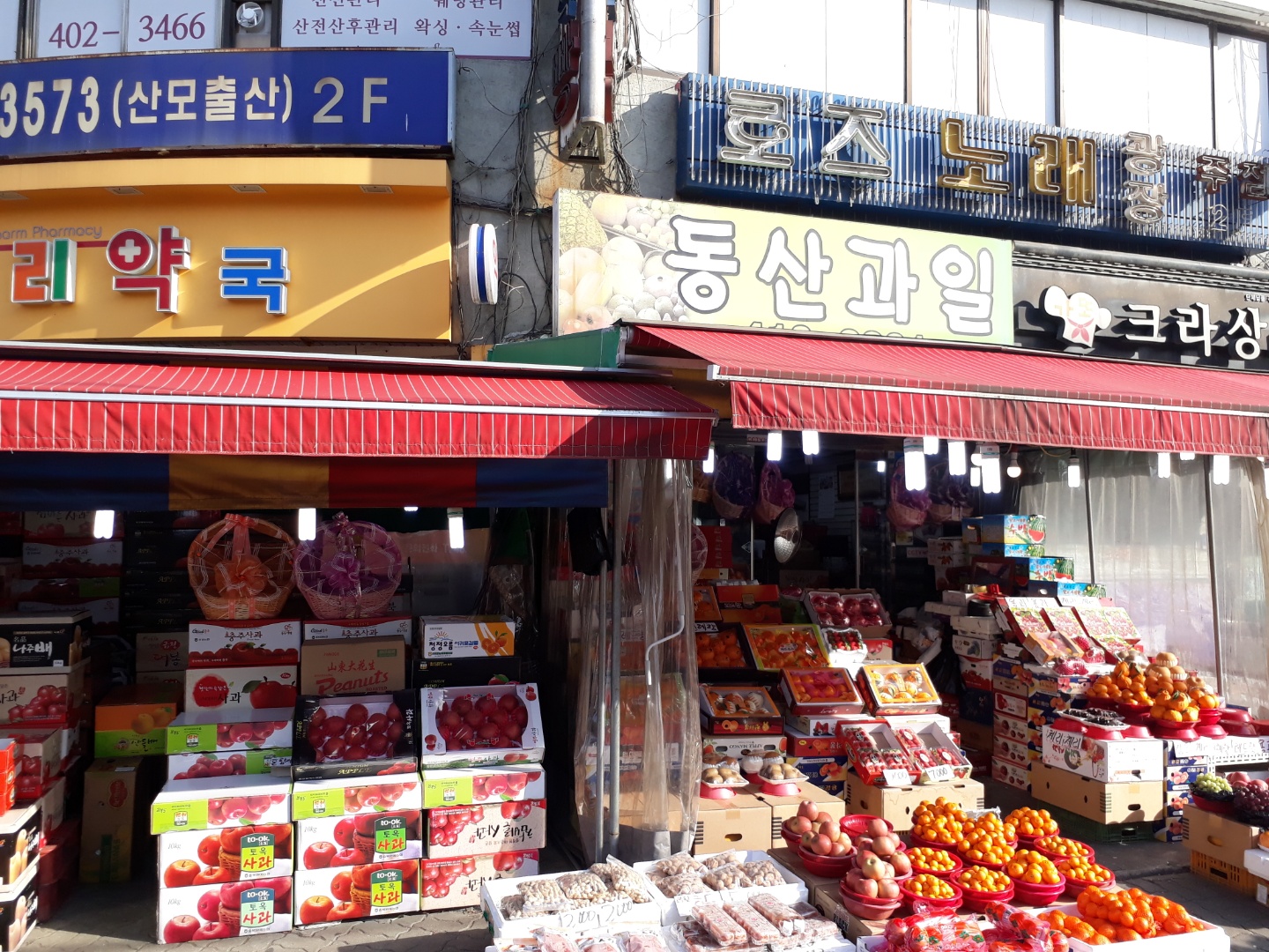 동산과일