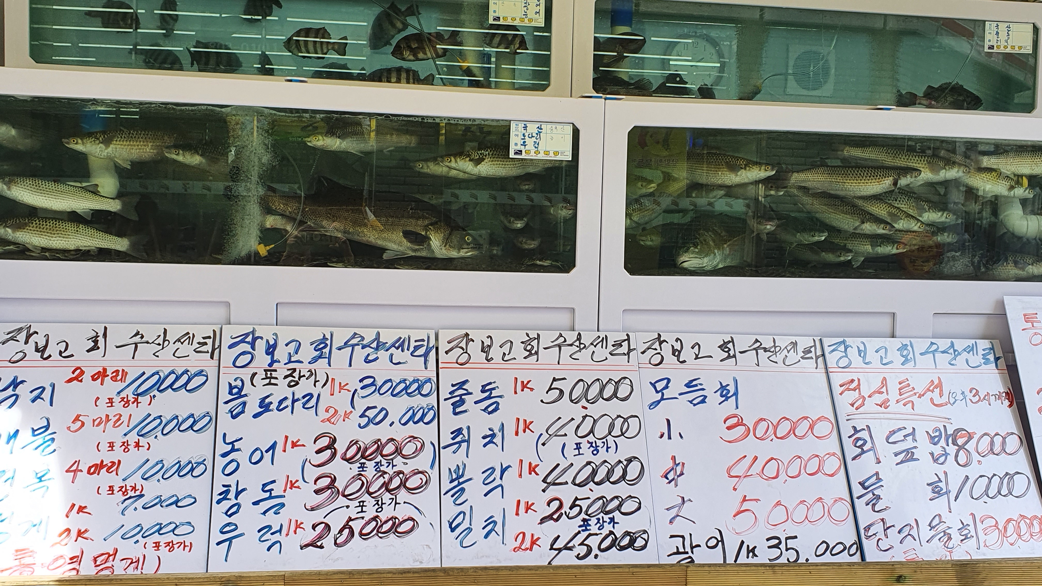 장보고수산센타 부전점