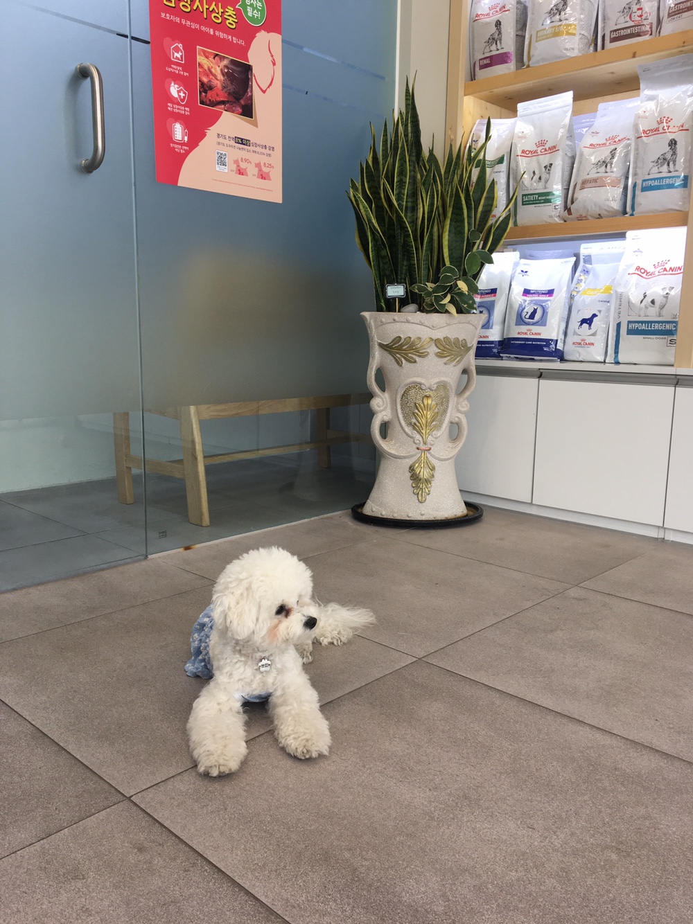 채움동물병원 대표 이미지