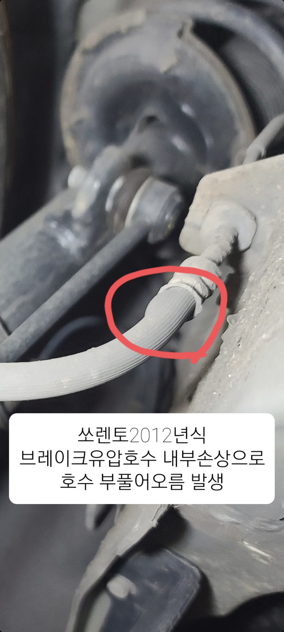 1급엘리트자동차정비검사