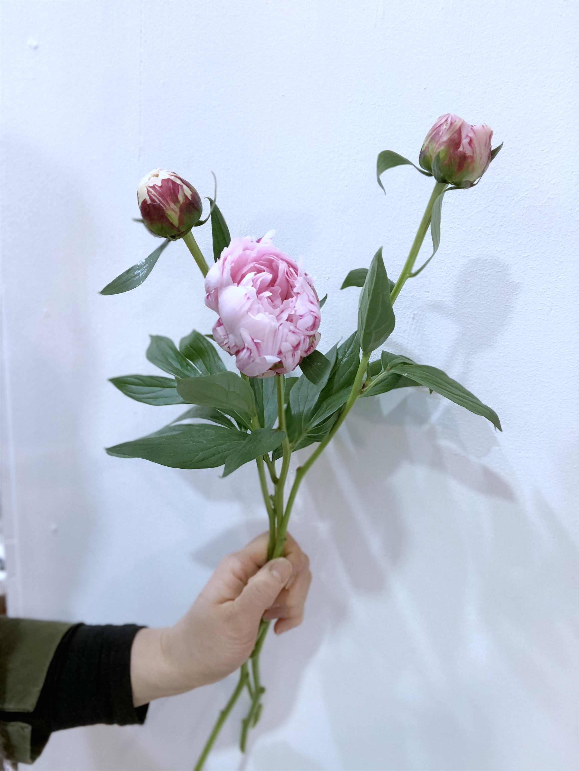 라이티티아플로 잠실꽃집 24시영업