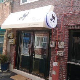 고양이하늘을걷다