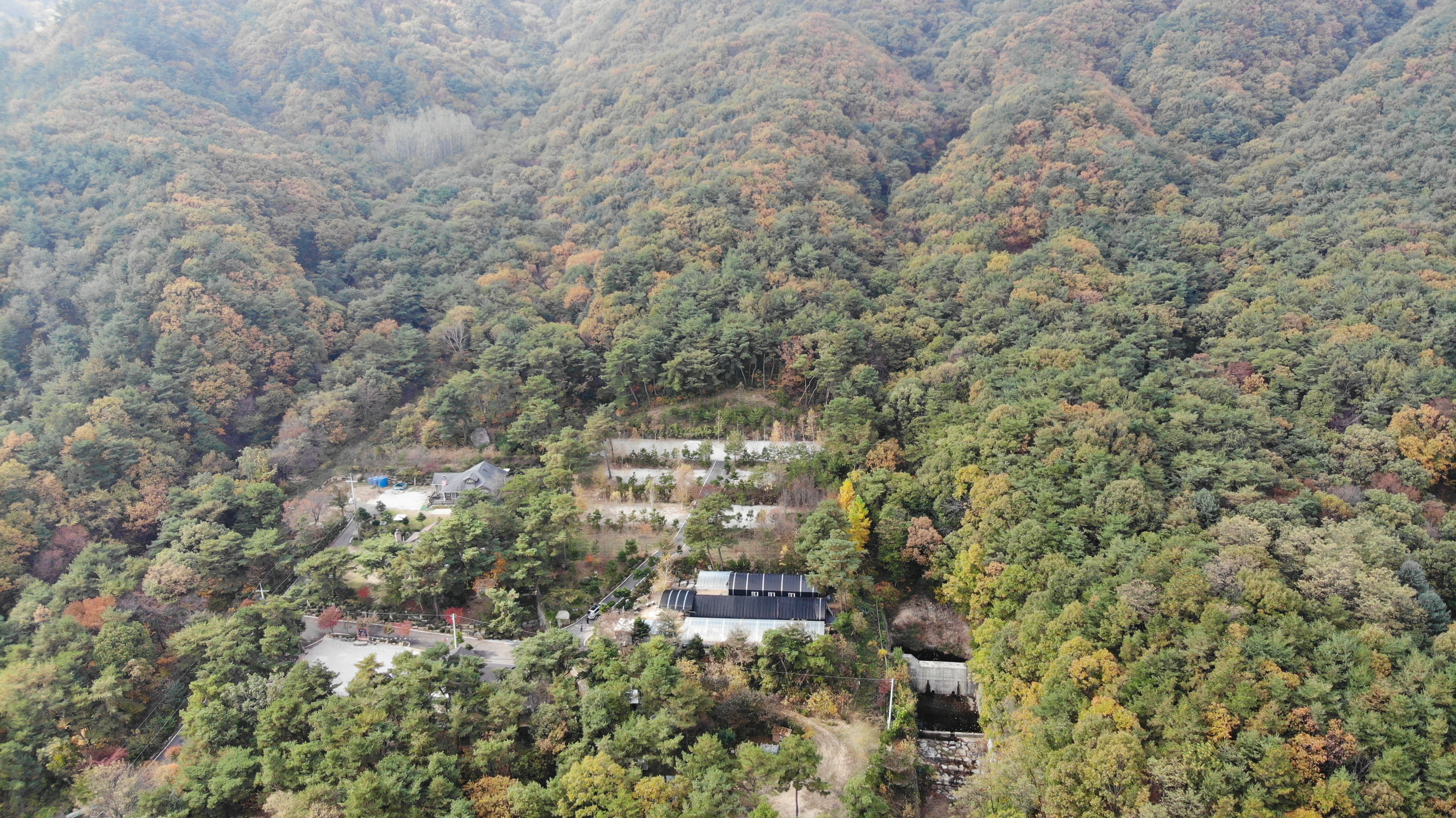 명봉산솔밭관광농원오토캠핑장