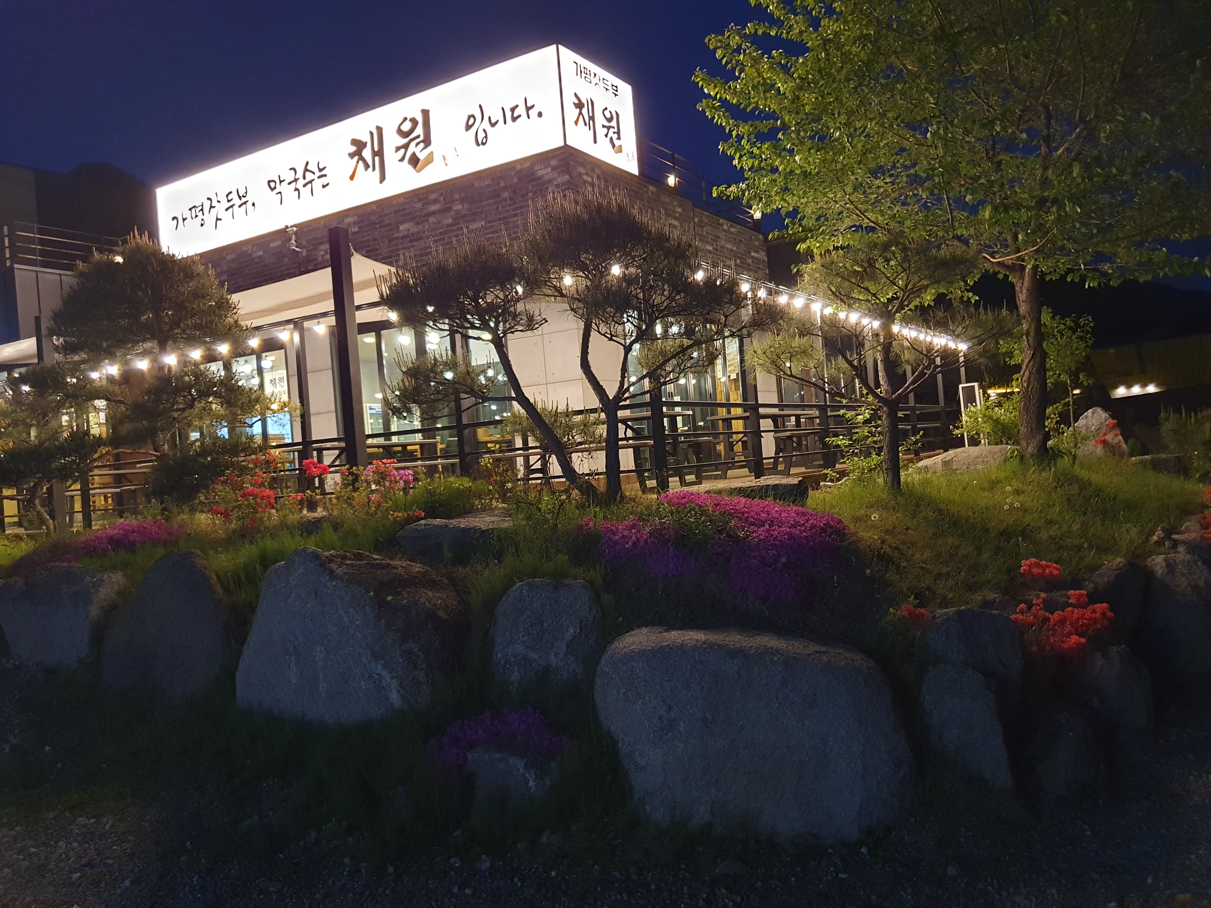채원 잣두부.막국수