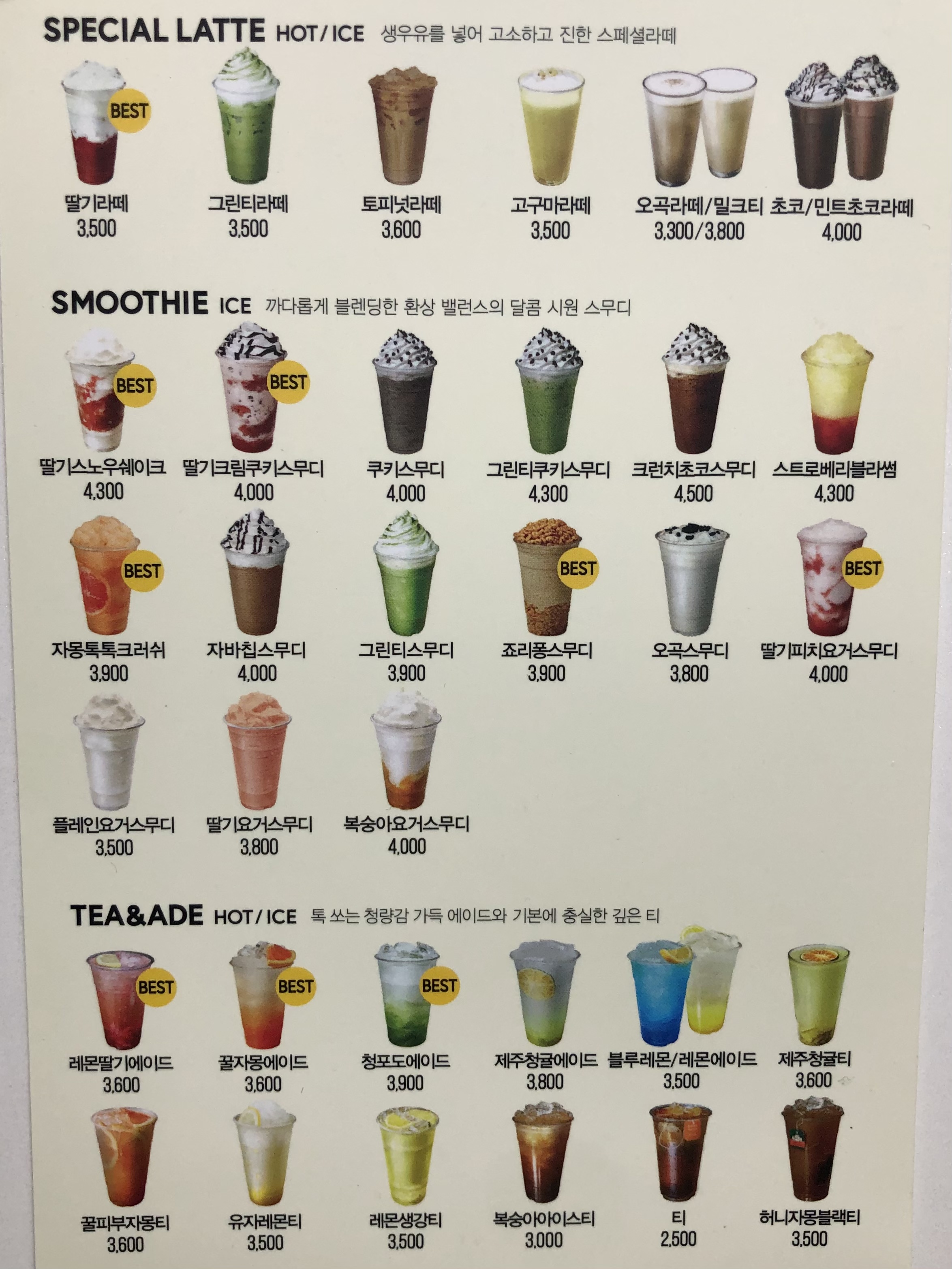 산호 서울 애견맛집