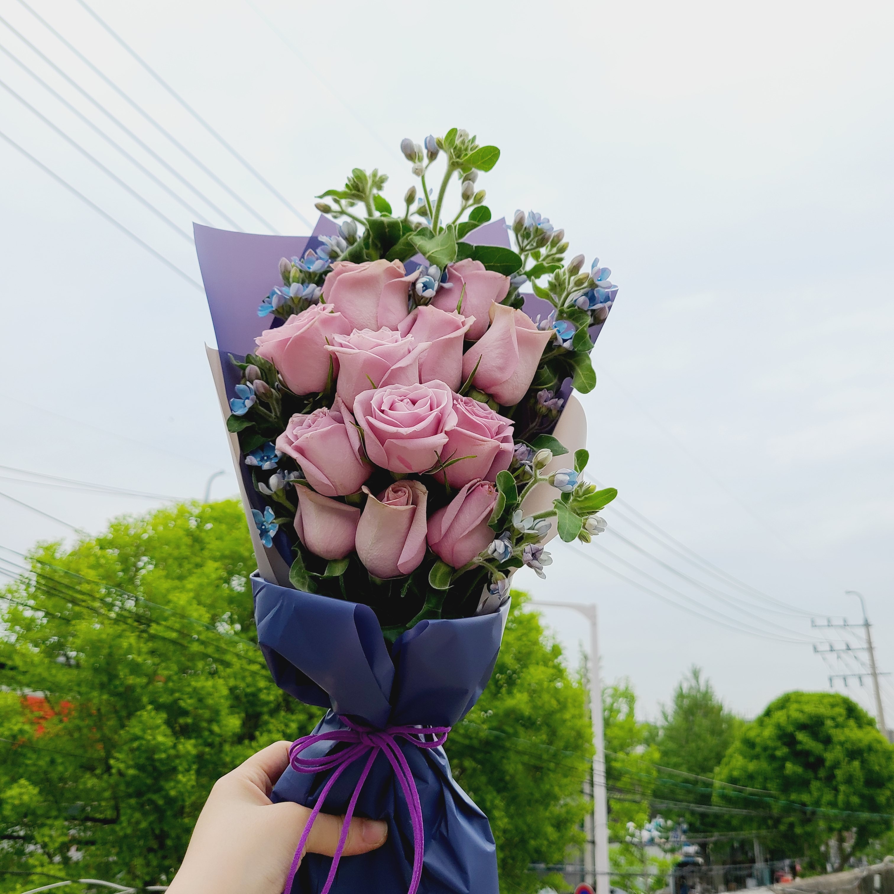 초원꽃뜨락