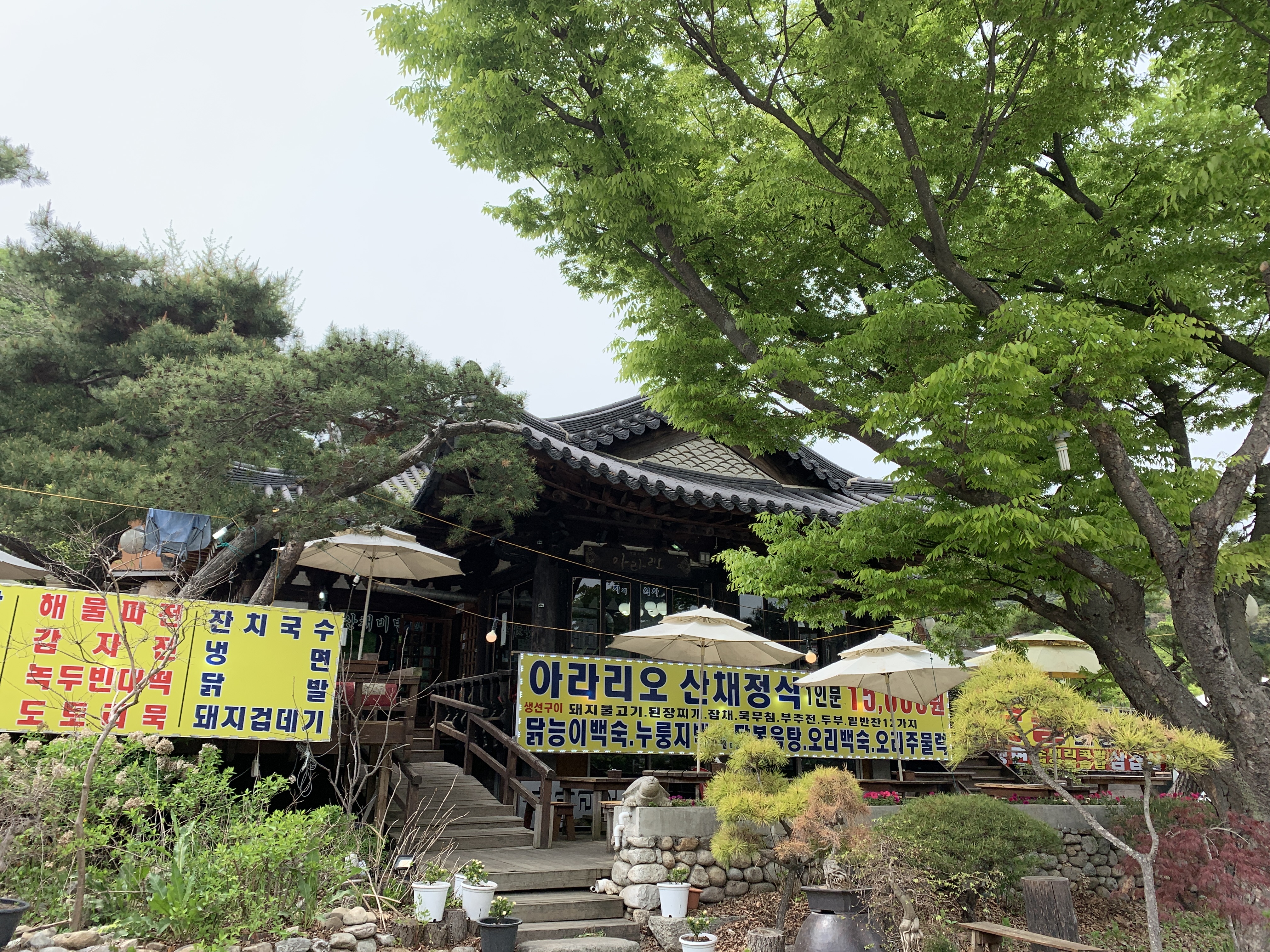 아라리오