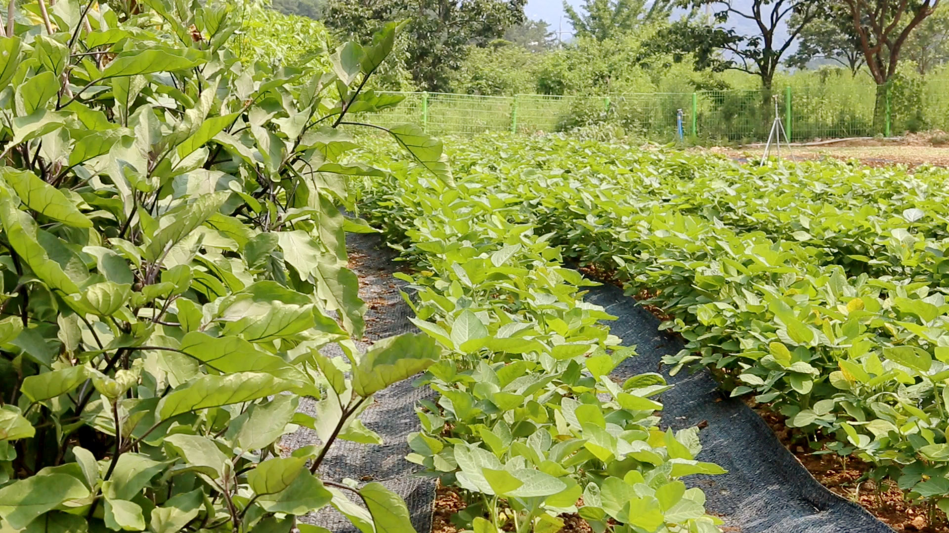 연지추어탕 대표 이미지