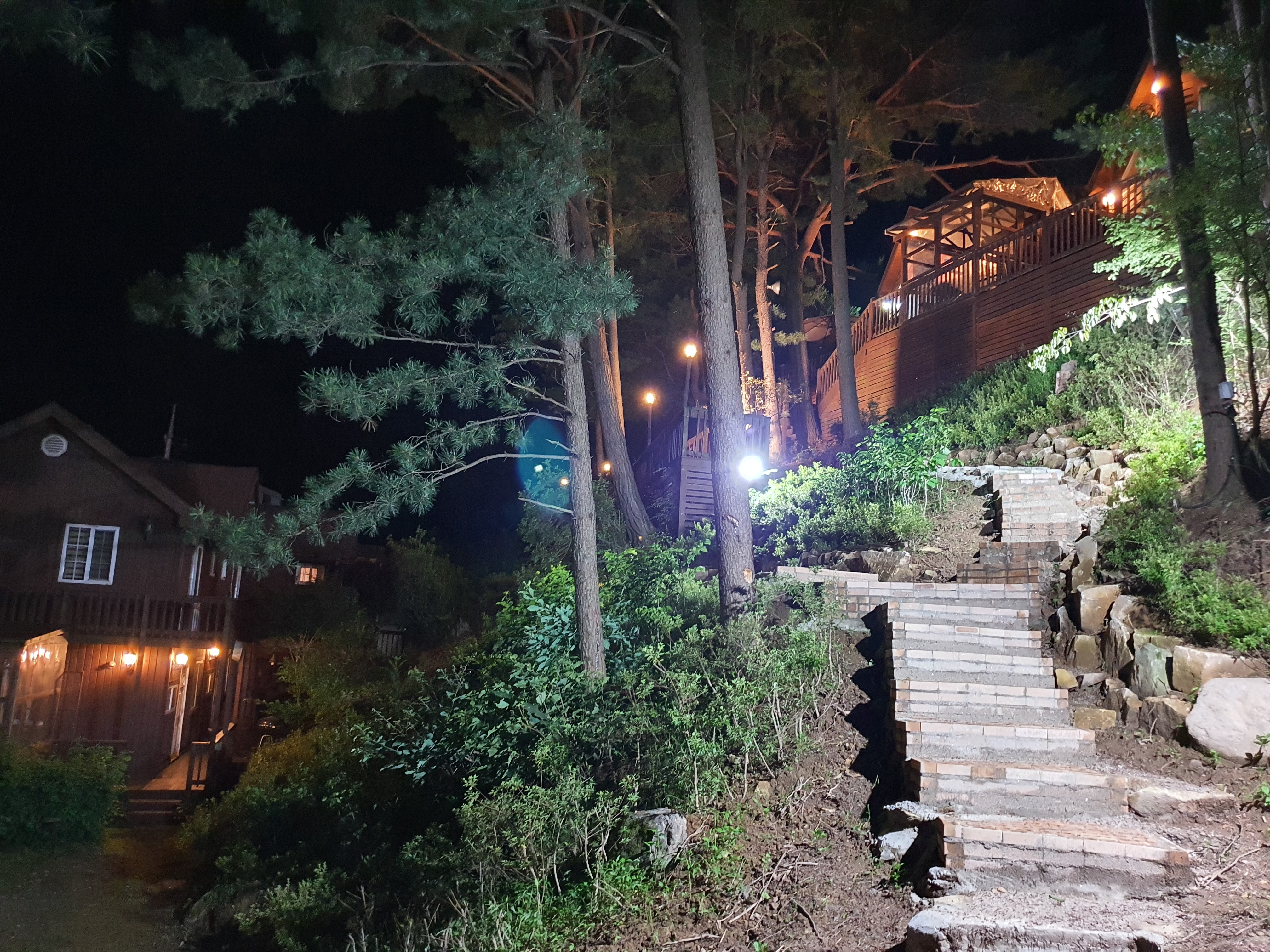 숲속의 아침