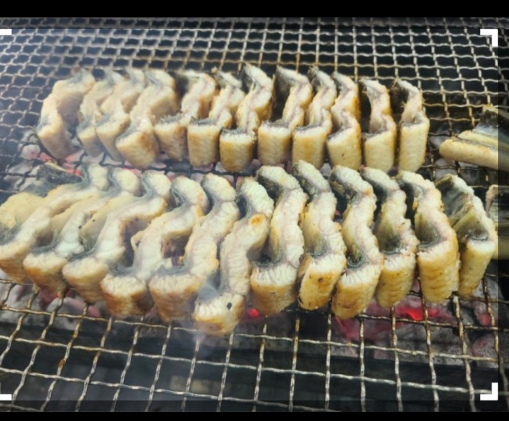 팔팔장어직판장