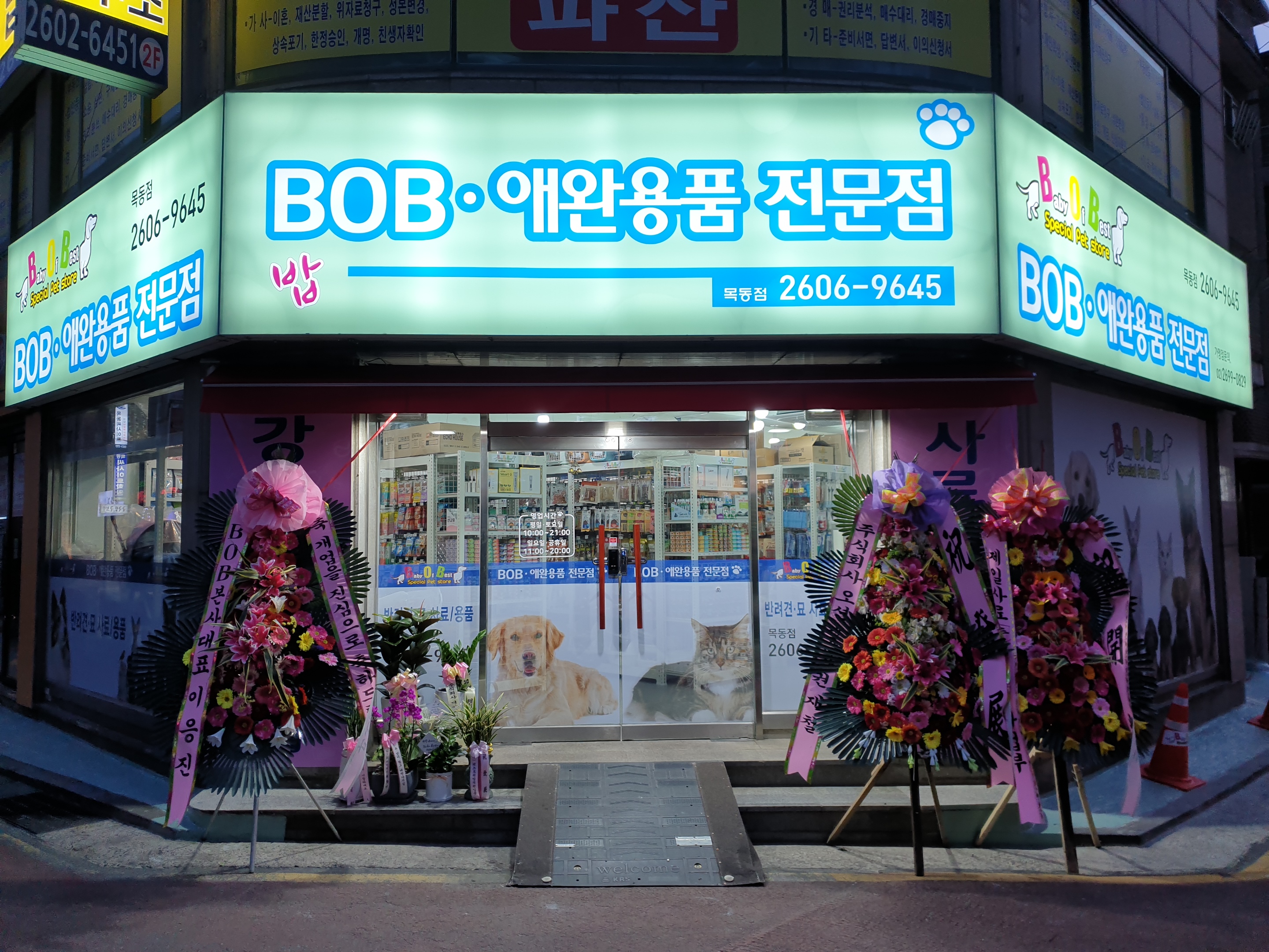 서울 양천구 애견용품 전문업체 추천 TOP5 강아지용품 애완용품 애견용품점 반려동물용품점 강아지스카프 애견용품샵 강아지목줄 BOB애완용품전문점 목동점