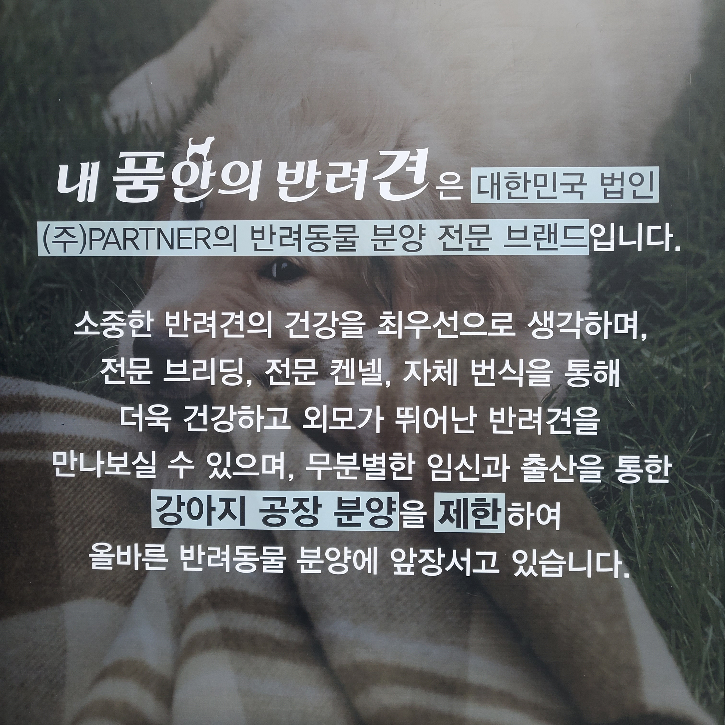 내품안의반려견 김포점