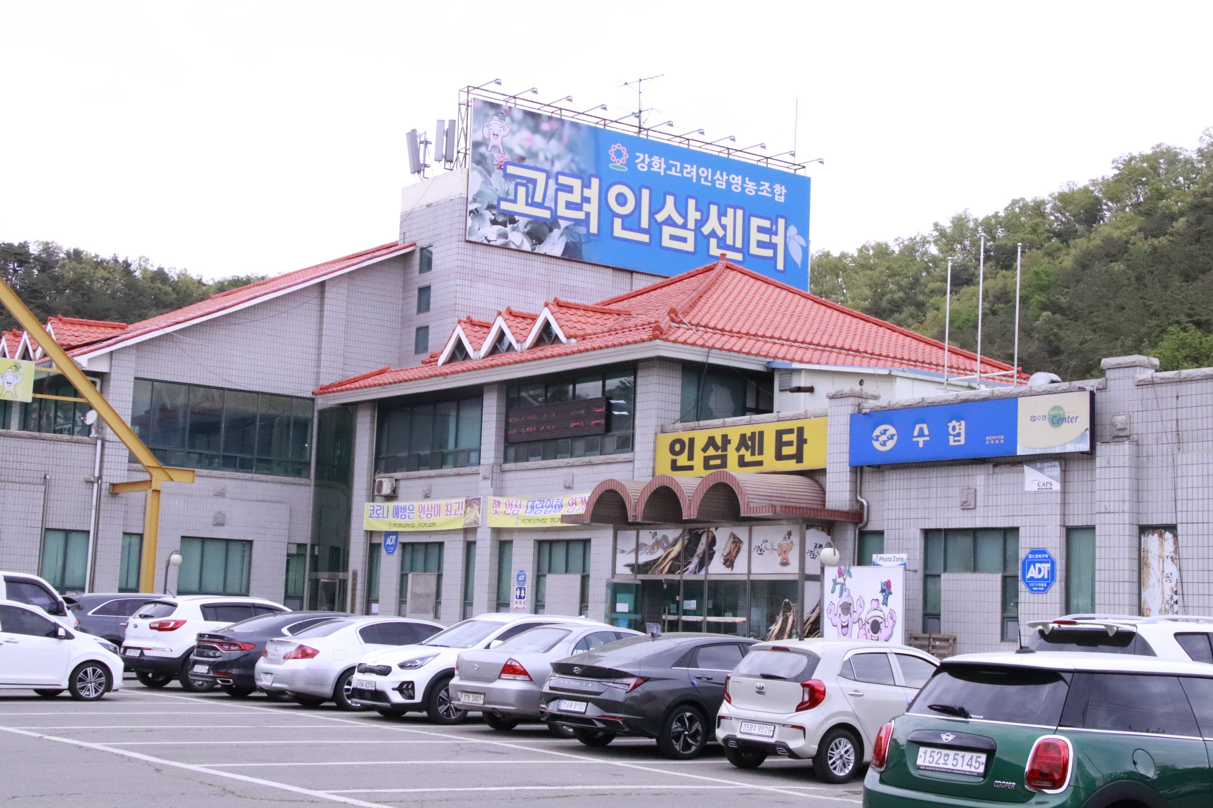 강화인삼영농조합센타