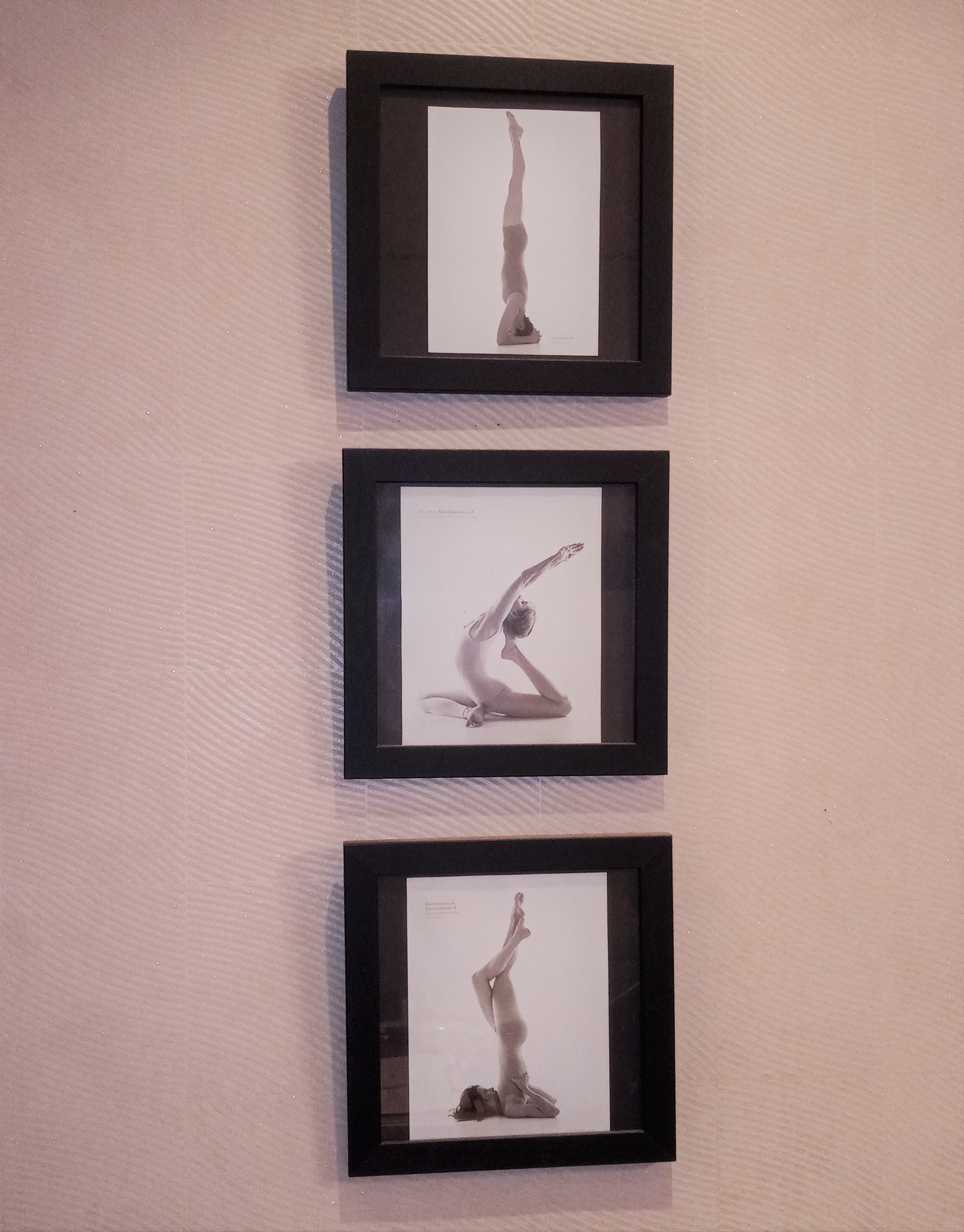 요가타운 서소문교육원 대표 이미지