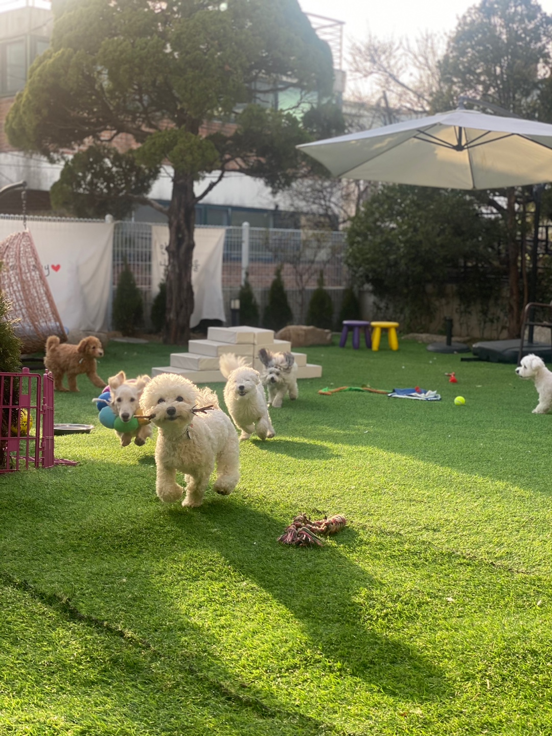 개코스 대표 이미지