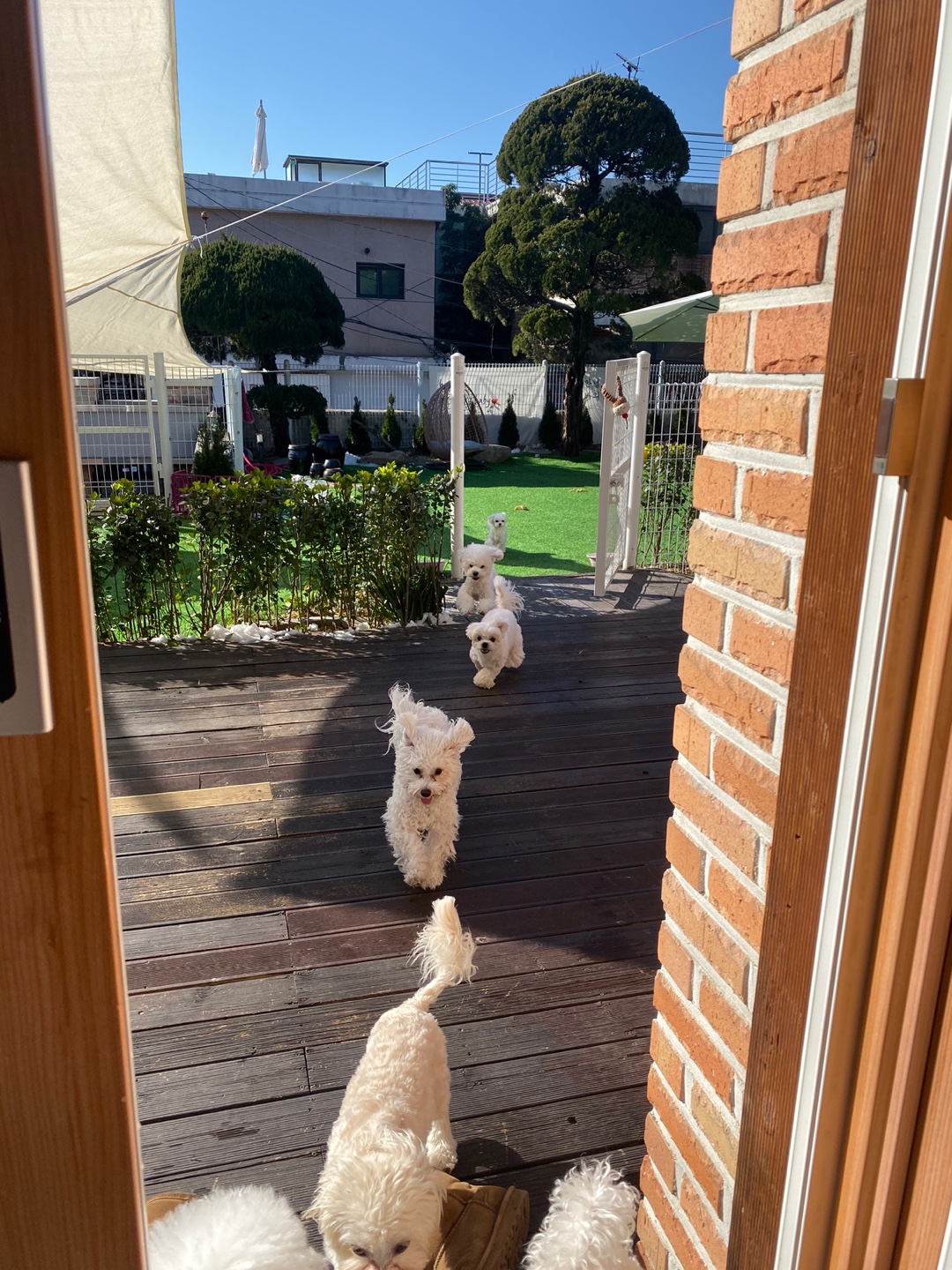 개코스 대표 이미지