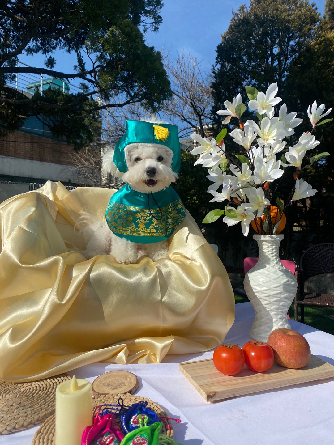 개코스 대표 이미지