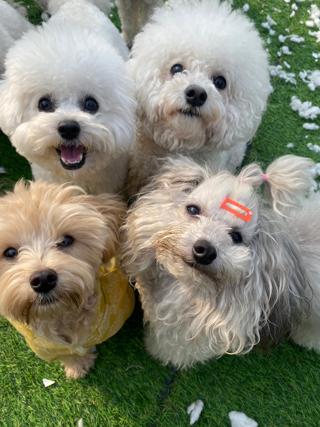 개코스 대표 이미지