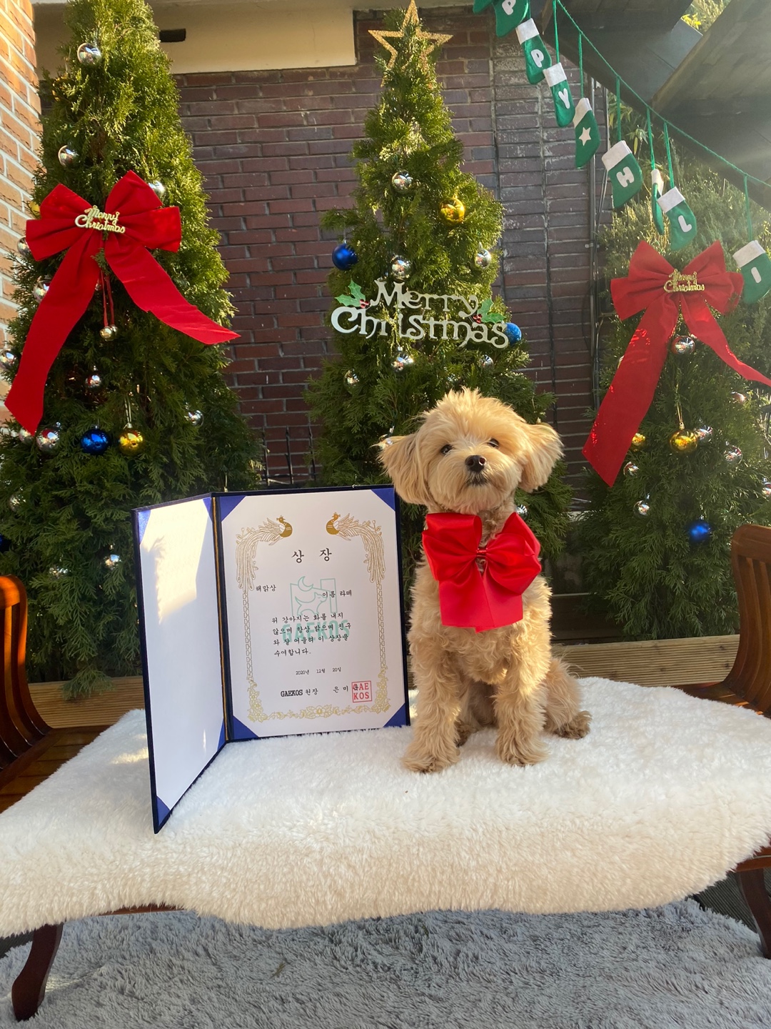 개코스 대표 이미지