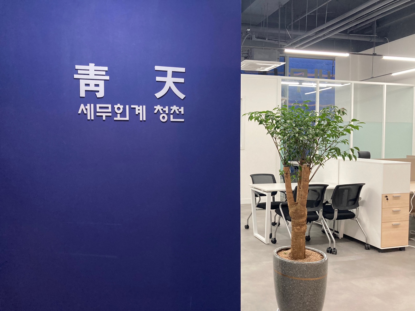세무회계청천
