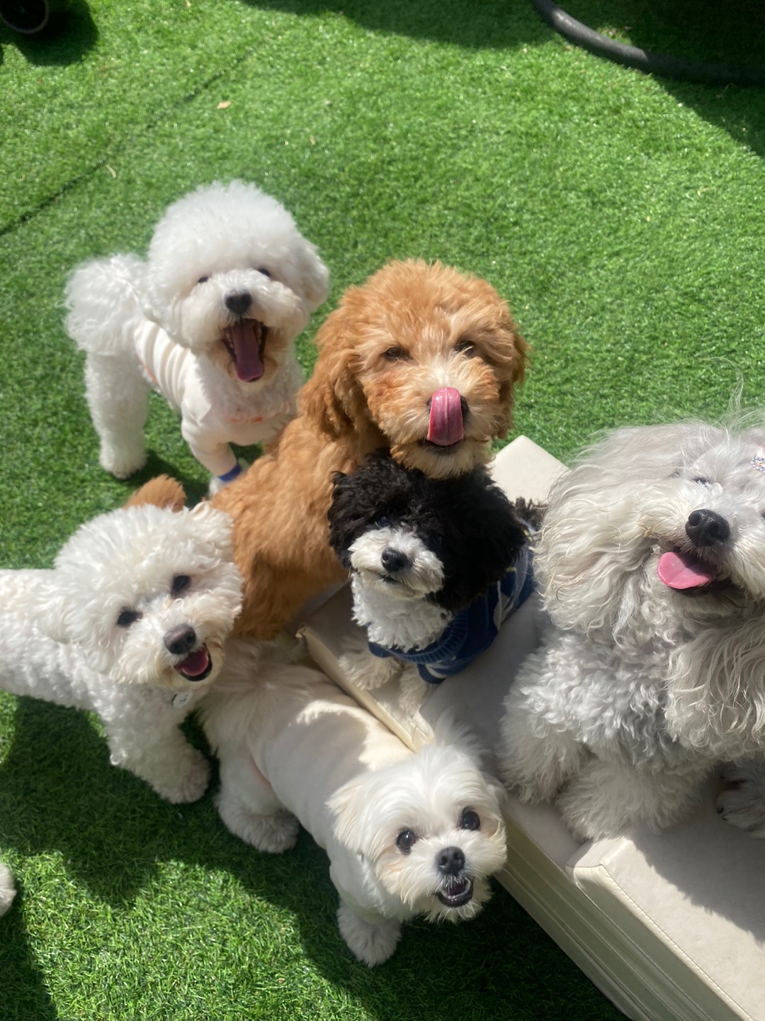 개코스 대표 이미지