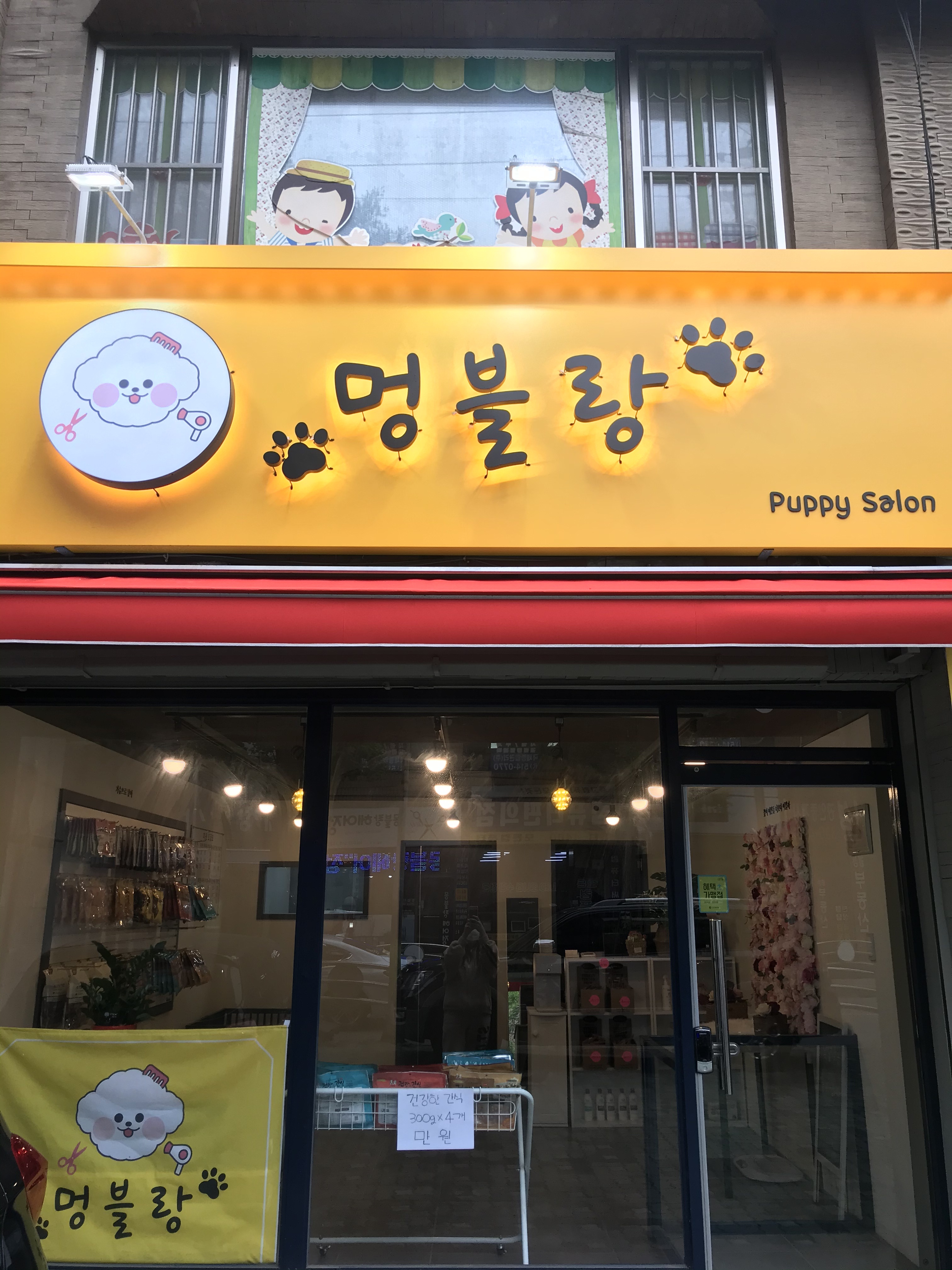 멍블랑 퍼피살롱