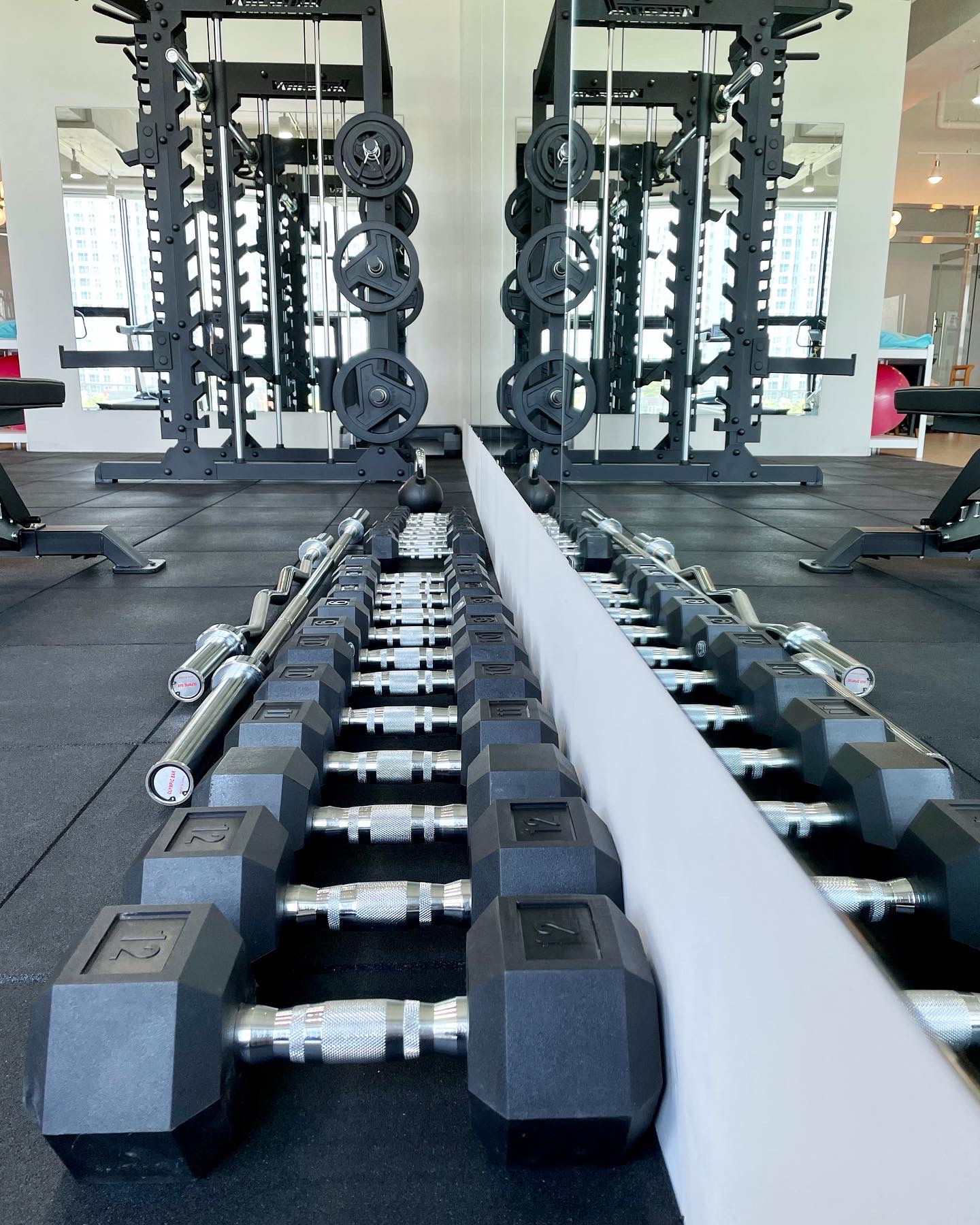 스텔라인핏 대표 이미지