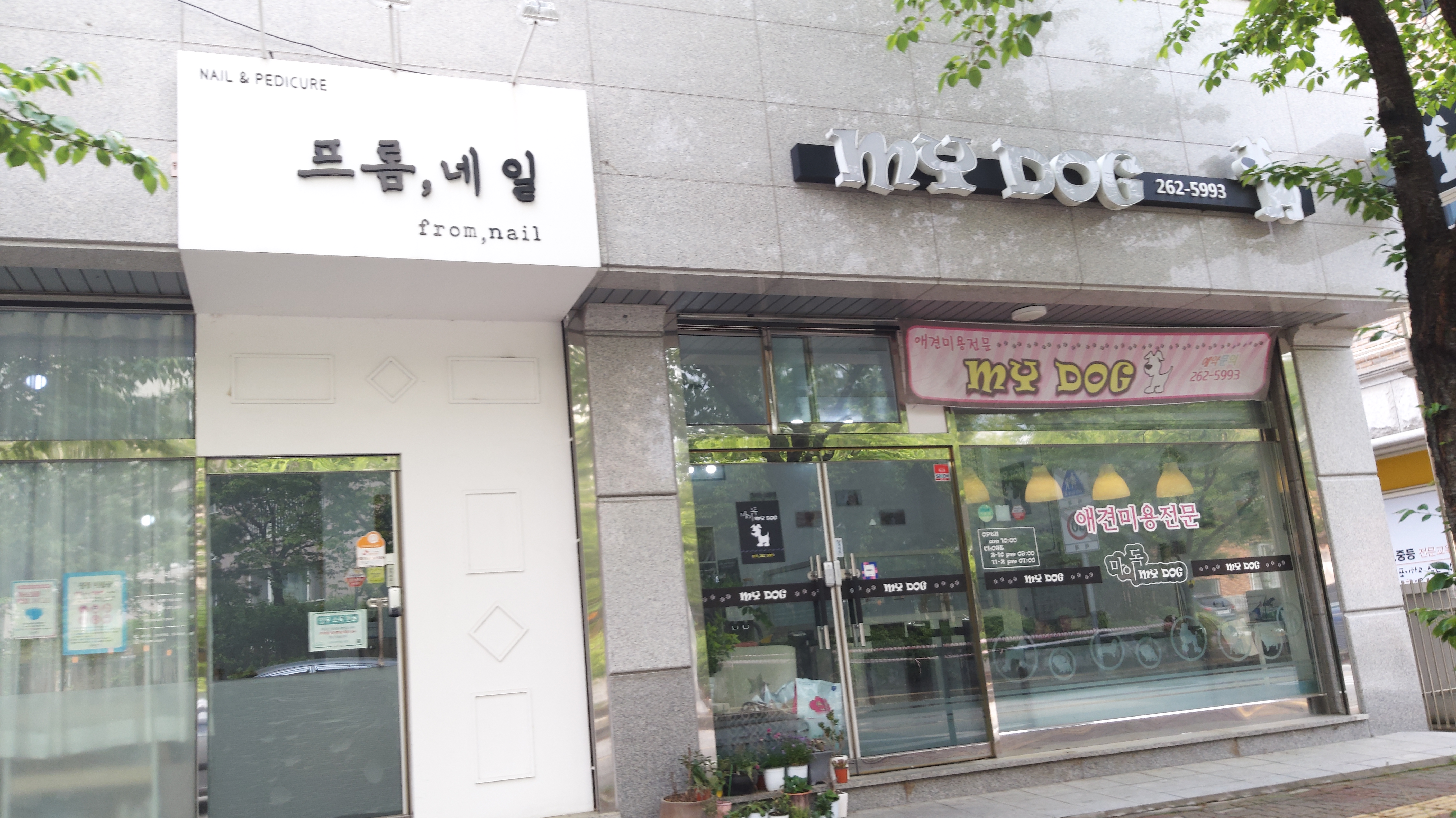 마이독 대표 이미지