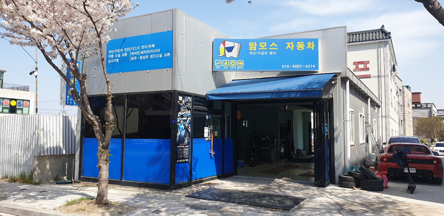 맘모스 정비
