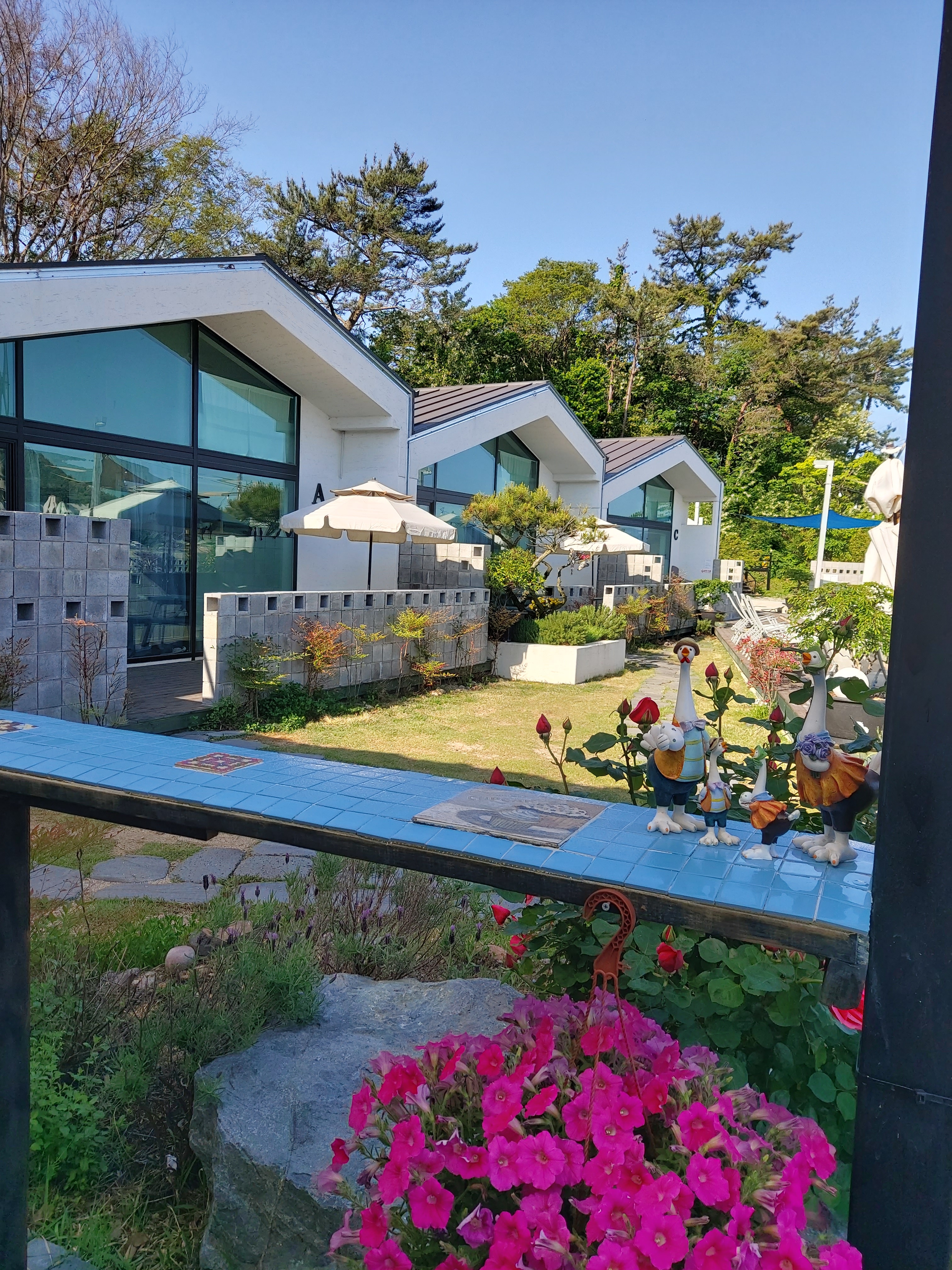두언27 반려동물 동반 숙소