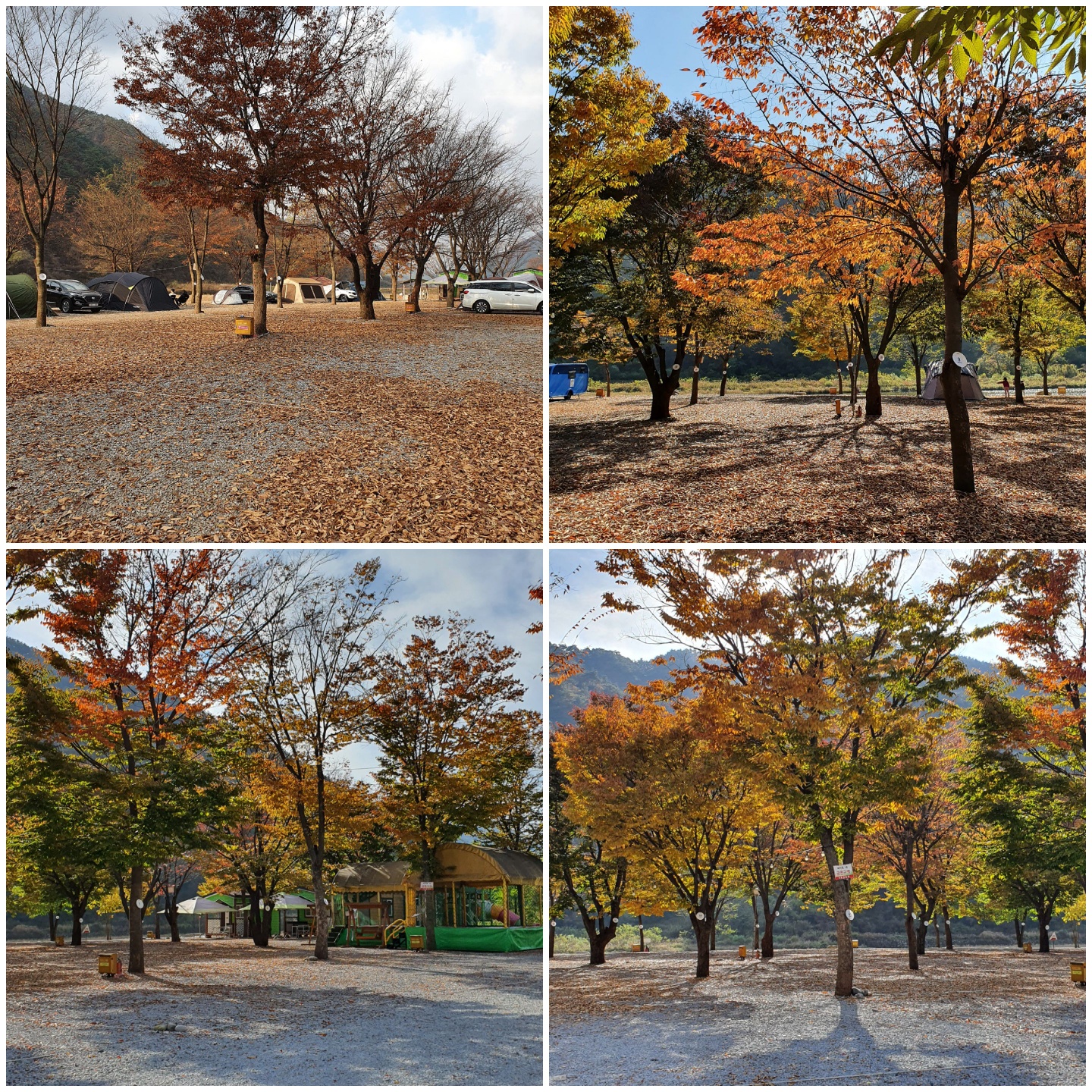 외룡캠핑장